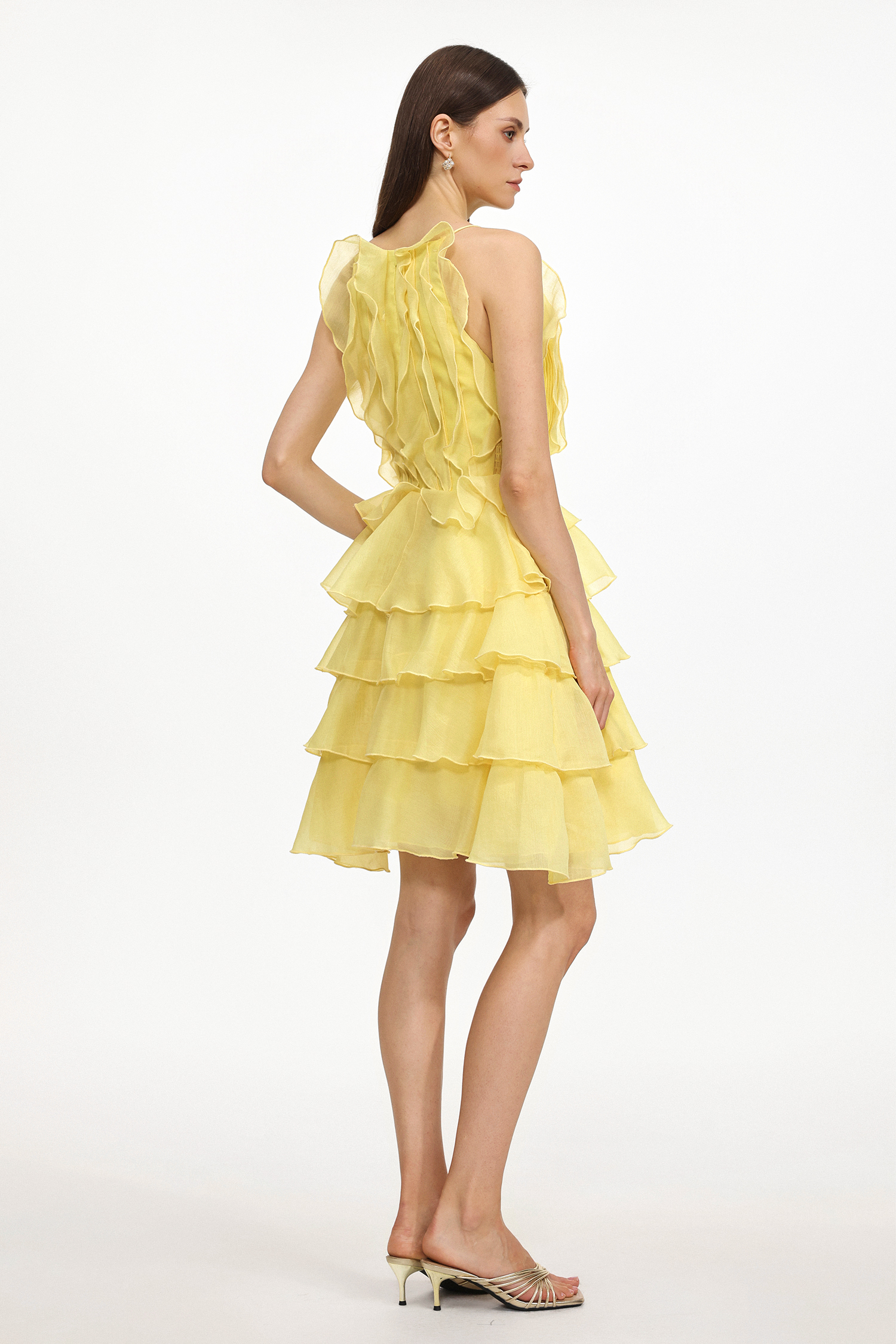 Tanisha Resort Flowy Sleeveless Ruffle Woven Mini Dress