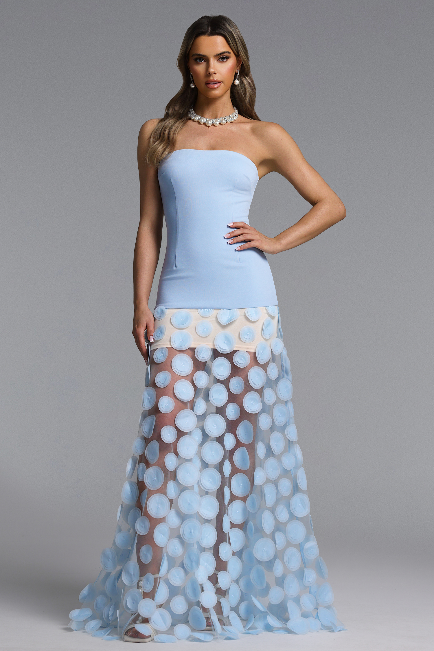 Falzer Sleeveless Netting Wafer Blue Maxi Dress