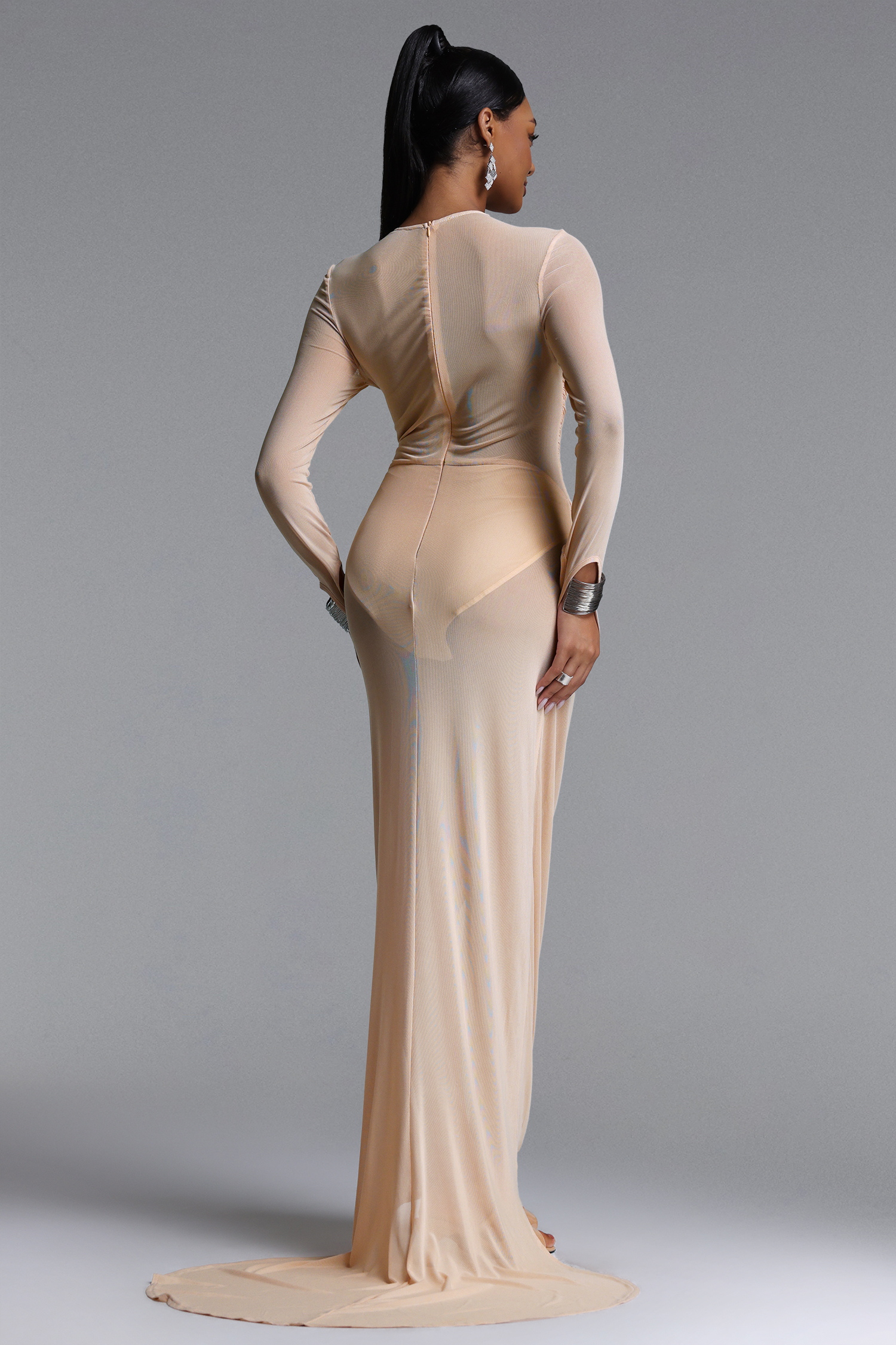 Rania Chic Contour Long Sleeve Ruched Sheer Maxi Dress