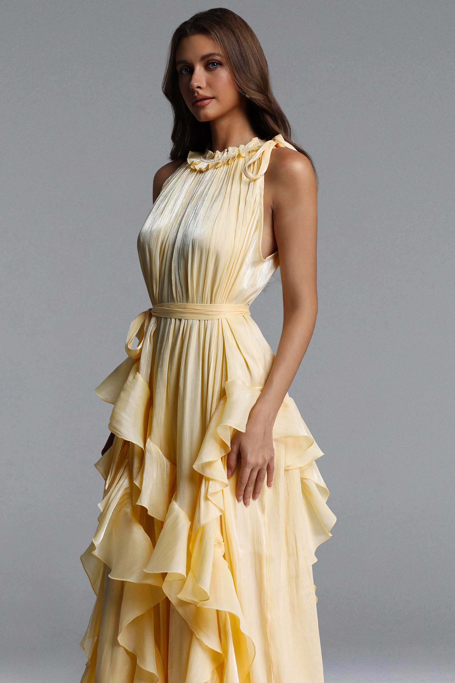 Dazie Resort Flowy Sleeveless Ruffle Organza Maxi Dress – Bellabarnett