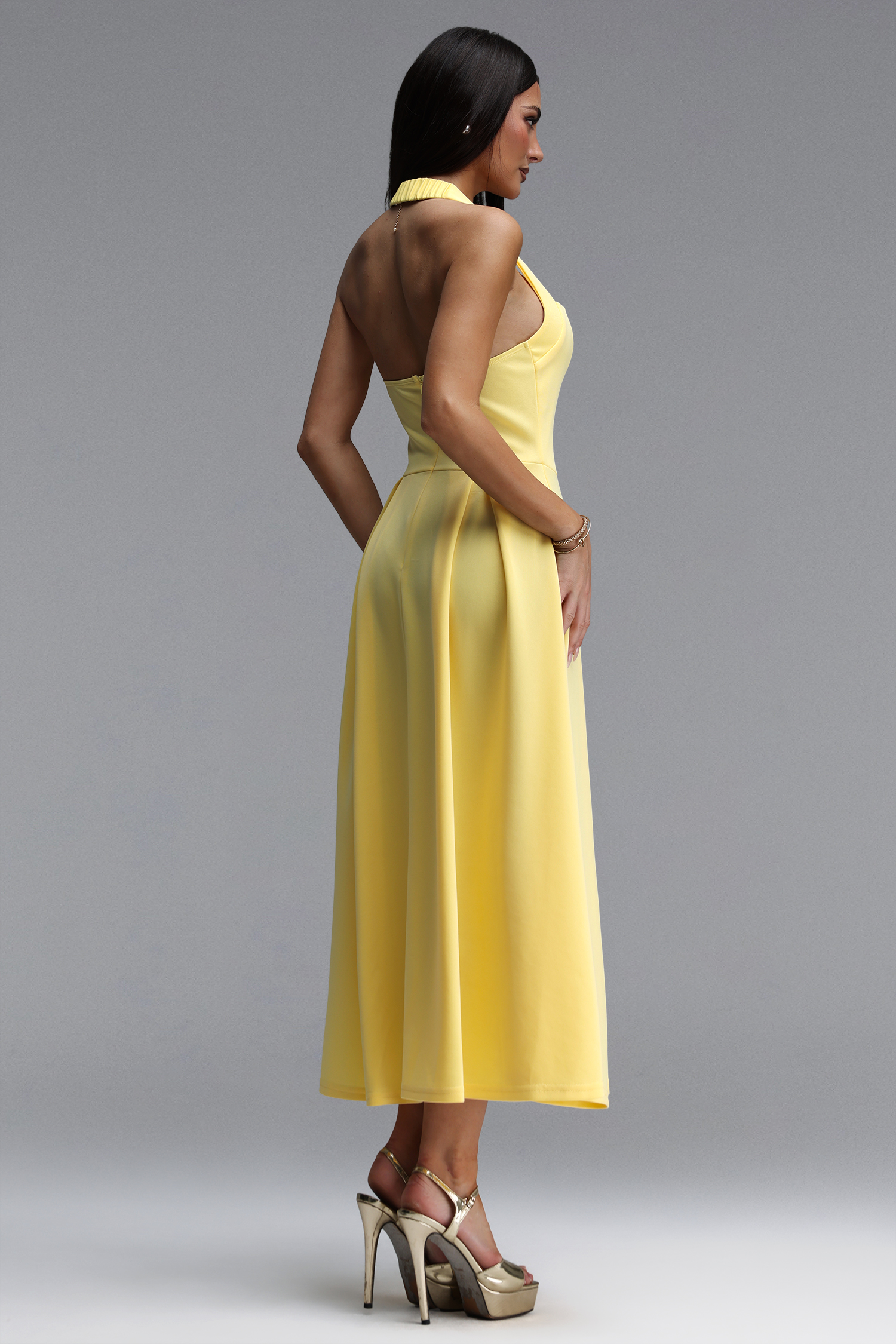 Olivia Elegant Tailored Sleeveless Woven Maxi Dress