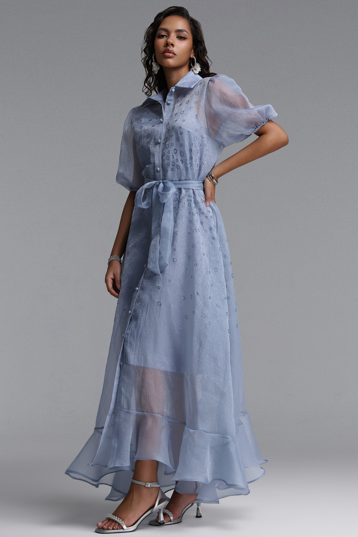 Elena Elegant Flowy Puff Sleeve Rhinestone Chiffon Maxi Dress