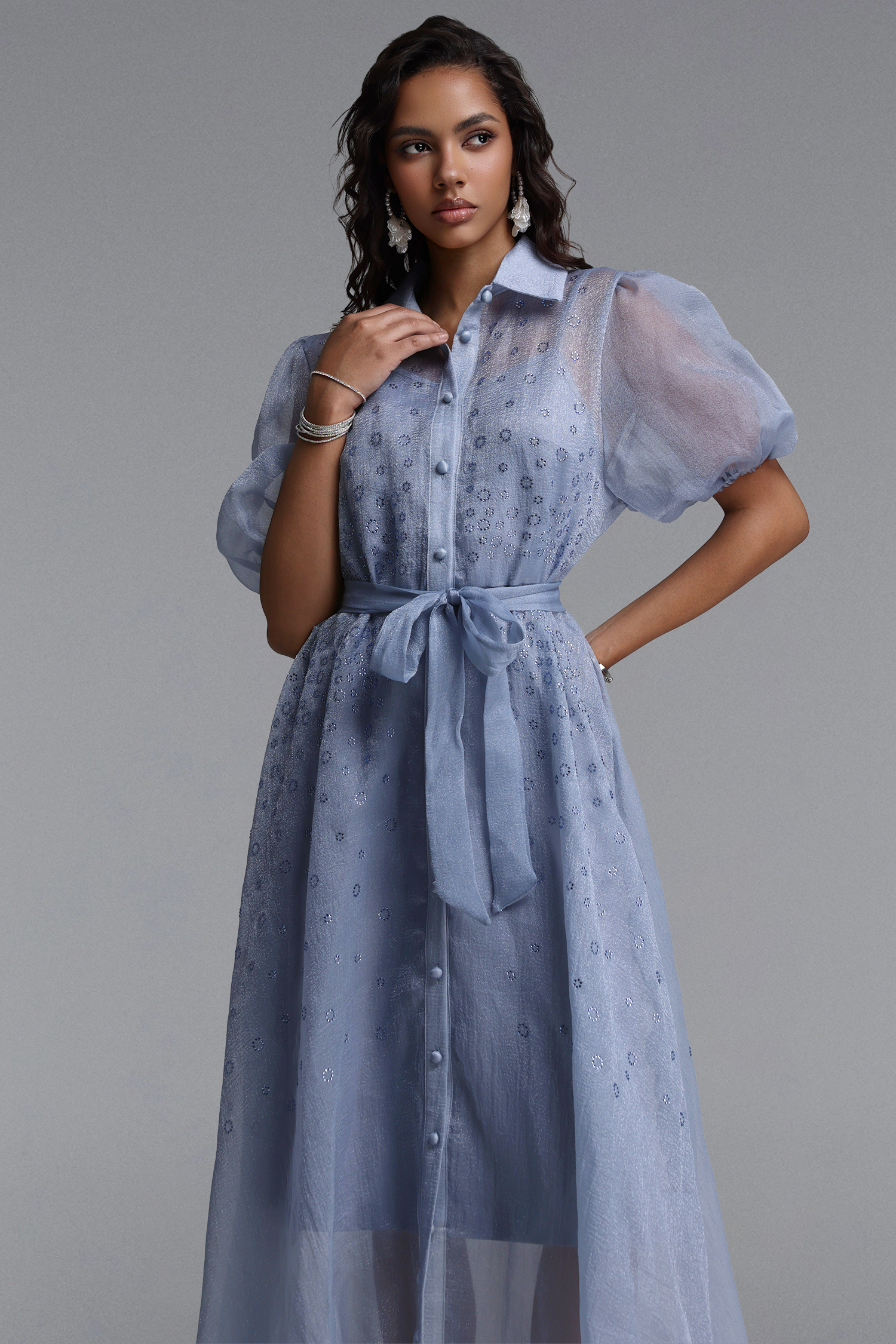 Elena Elegant Flowy Puff Sleeve Rhinestone Chiffon Maxi Dress