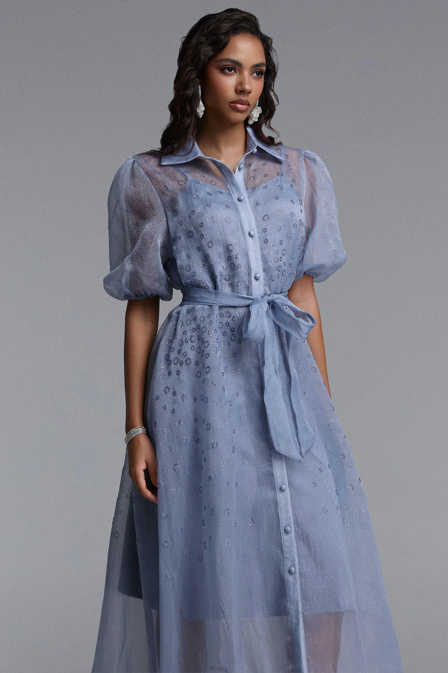 Elena Elegant Flowy Puff Sleeve Rhinestone Chiffon Maxi Dress