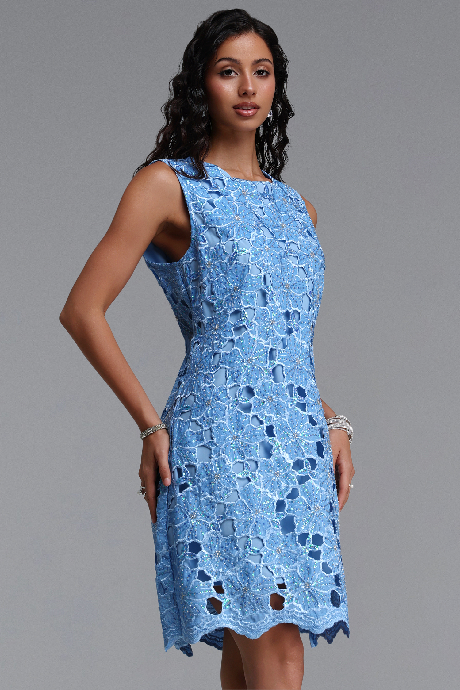 Diana Elegant Tailored Beaded Embroidered Lace A-Line Mini Dress