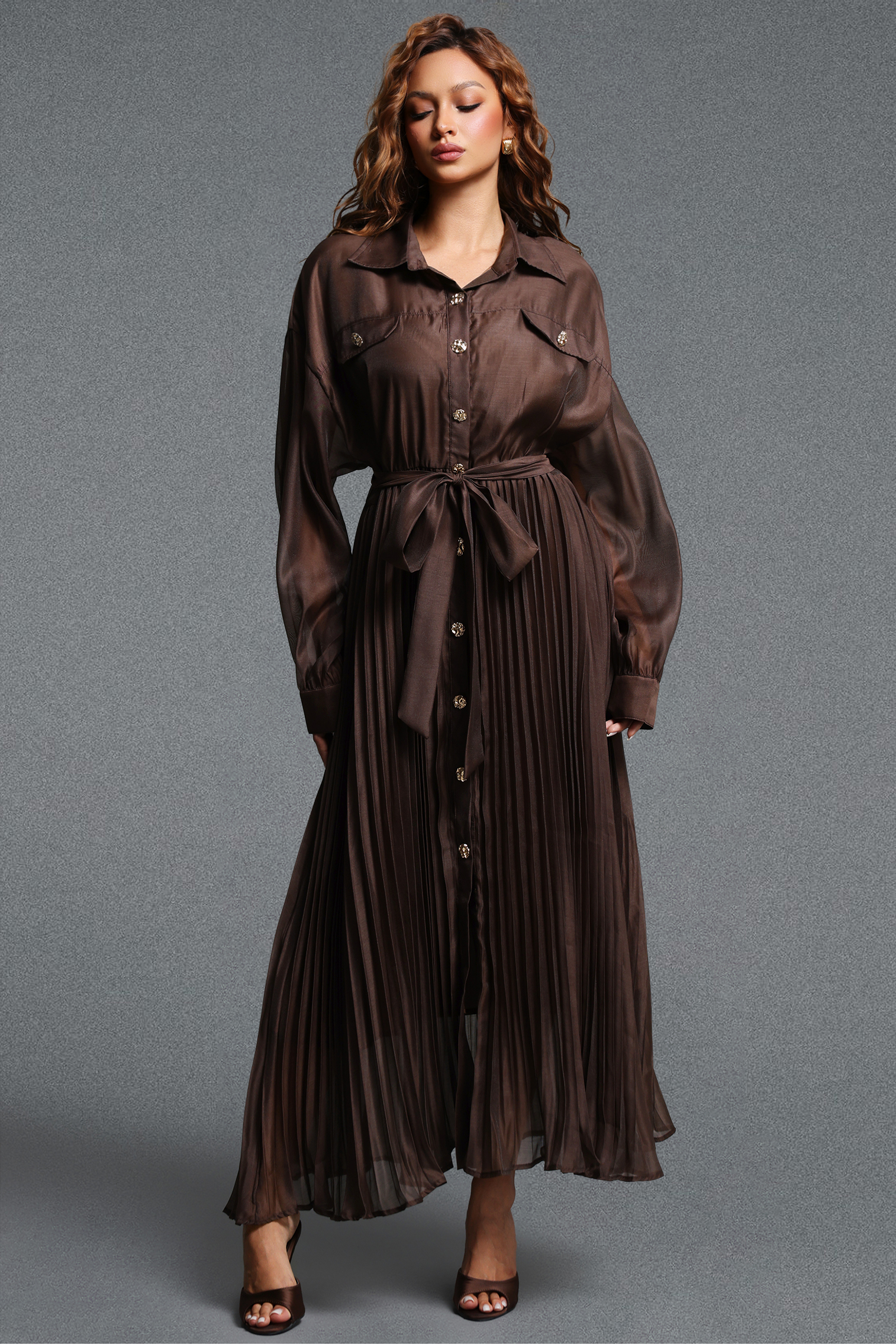 Vali Resort Flowy Long Sleeve Woven Brown Maxi Dress