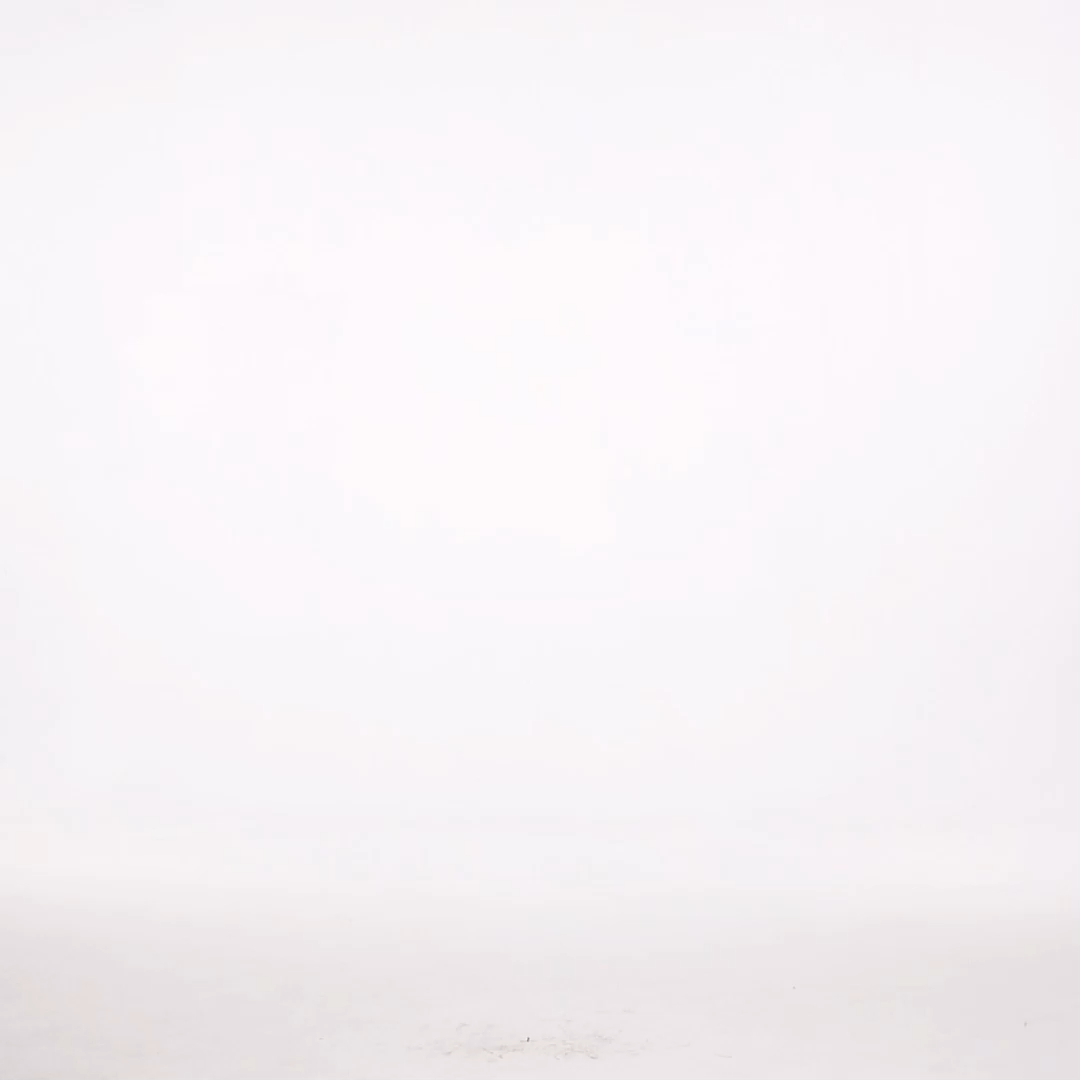 Kalie Resort Flowy Sleeveless Floral Print Woven Mini Dress