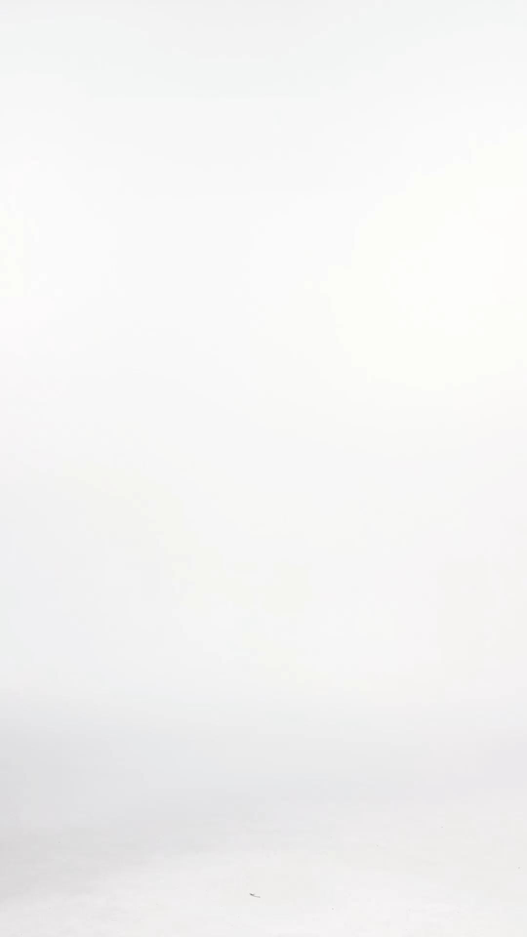 Encho Glamorous Contour Halter Ruched Mesh Sequin Maxi Dress