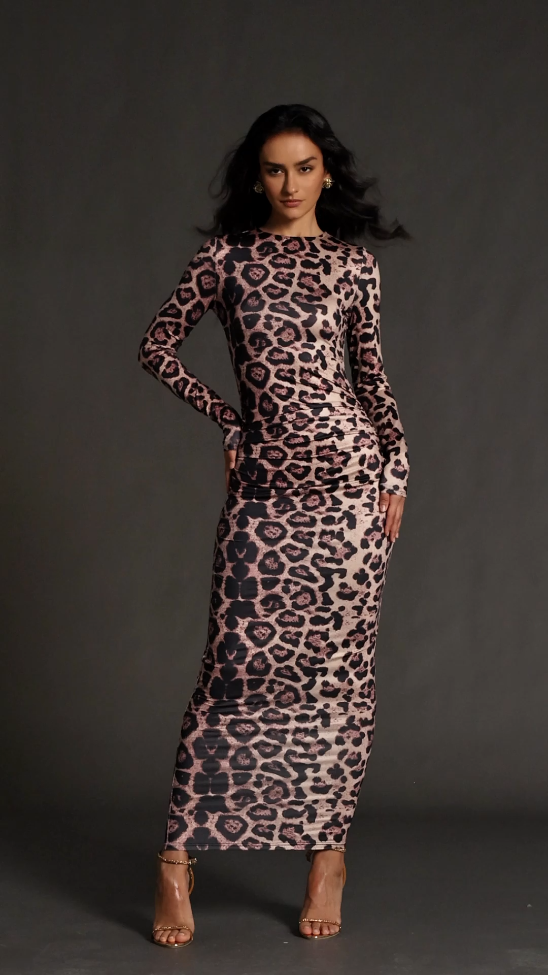 Viney Leopard Print Printing Round Neck Long Sleeves Maxi Dress