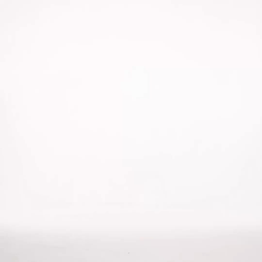 Elza Chic Tailored Long Sleeve Floral Cut Out Woven Shirt