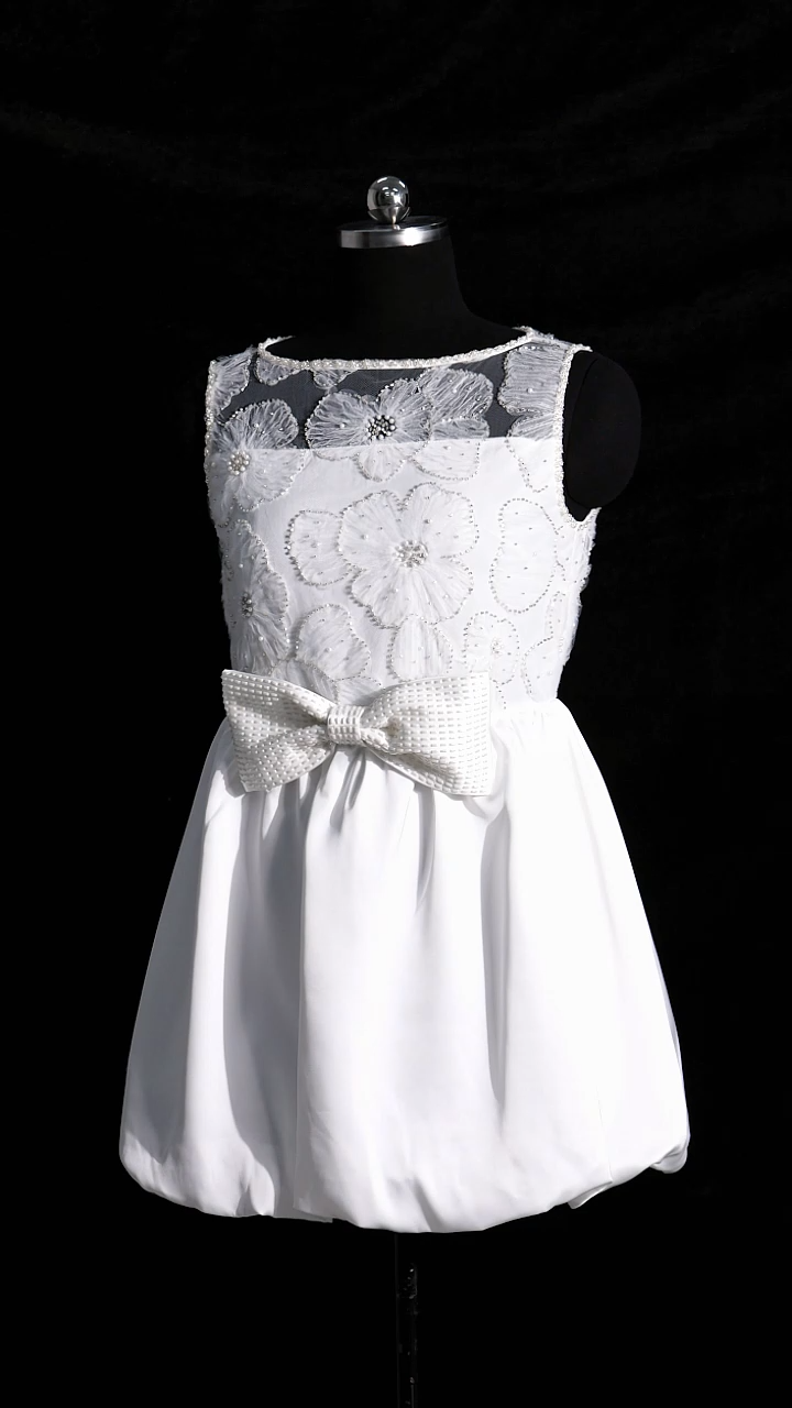 Shea Sleeveless Bowknot Embroidery Flowers Lace Mini Dress