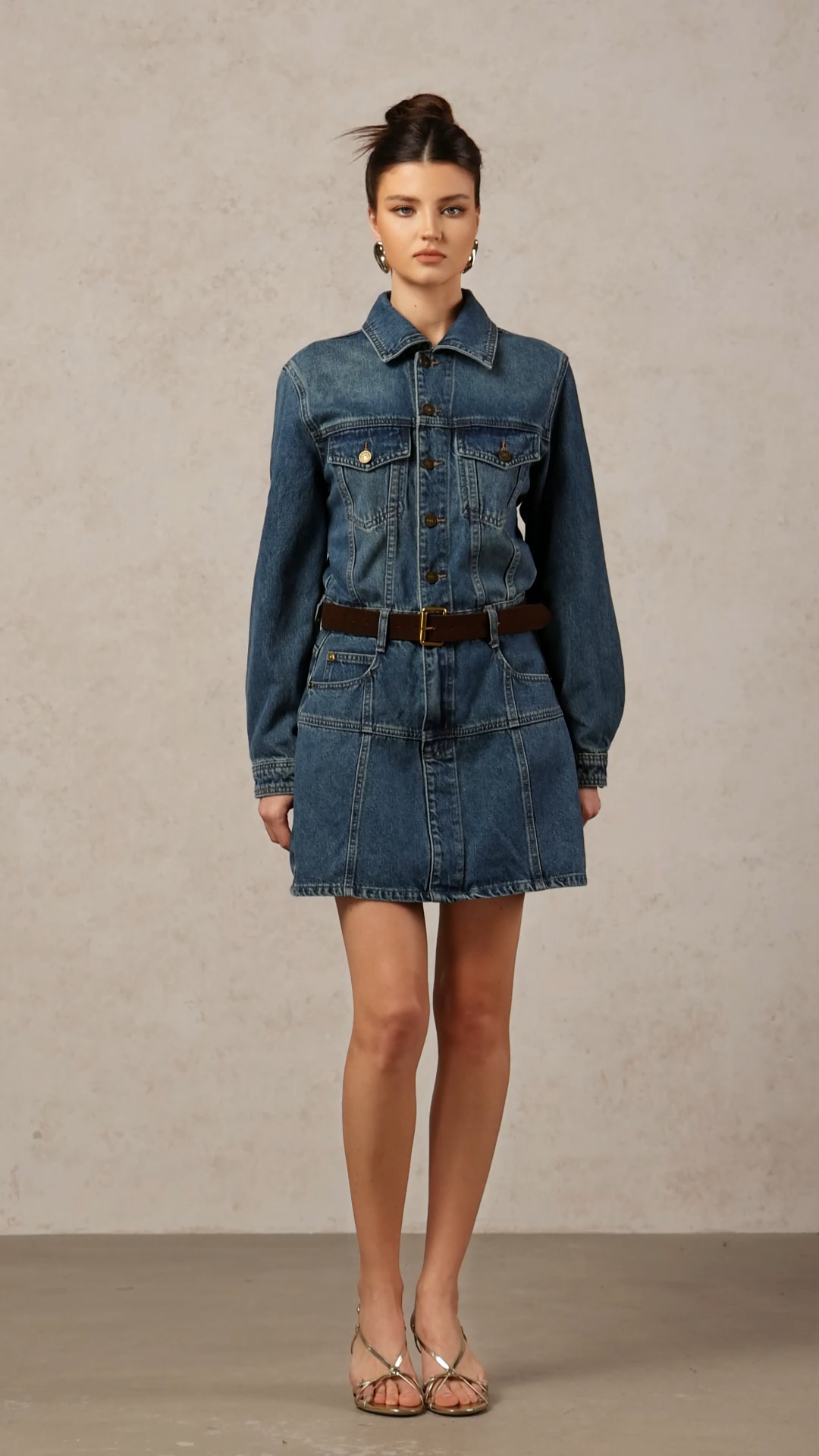 Diana Chic Long Sleeve Denim Mini Dress