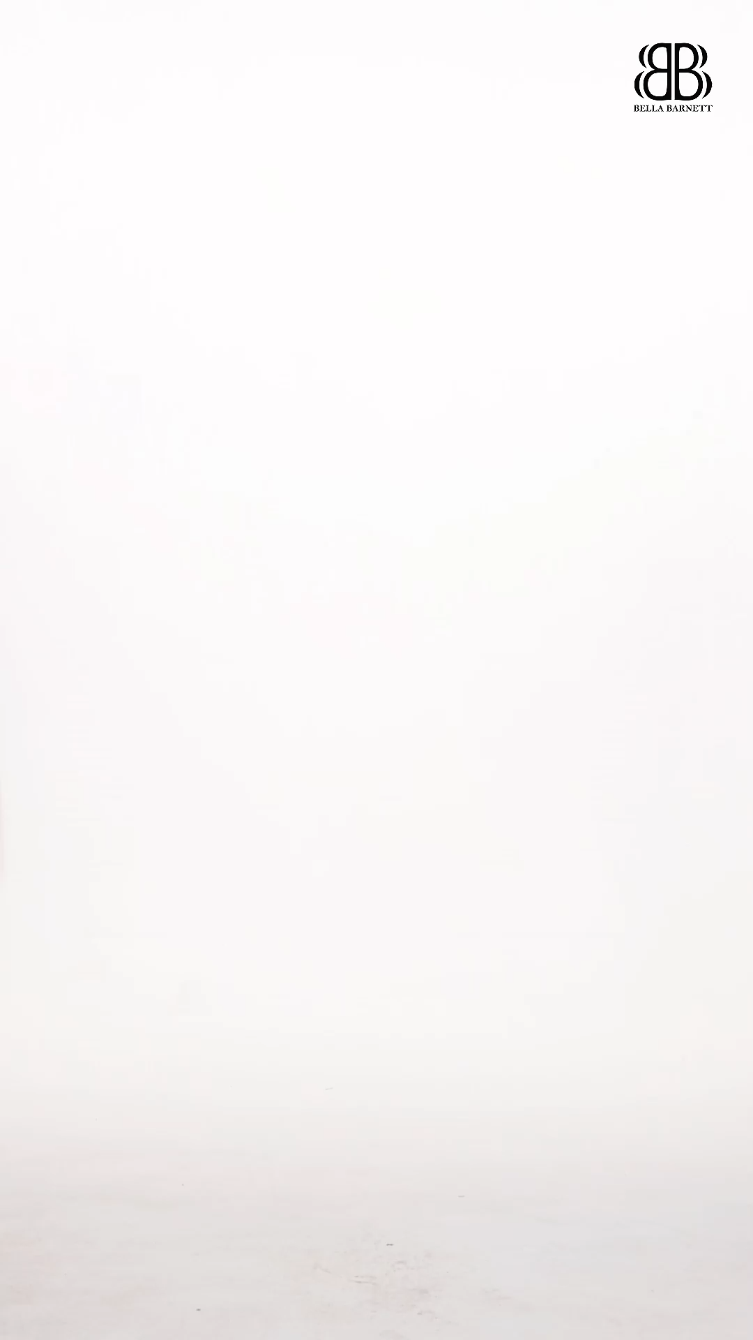 Rahan Romantic Contour Sheer Sleeve Pleated Maxi Dress