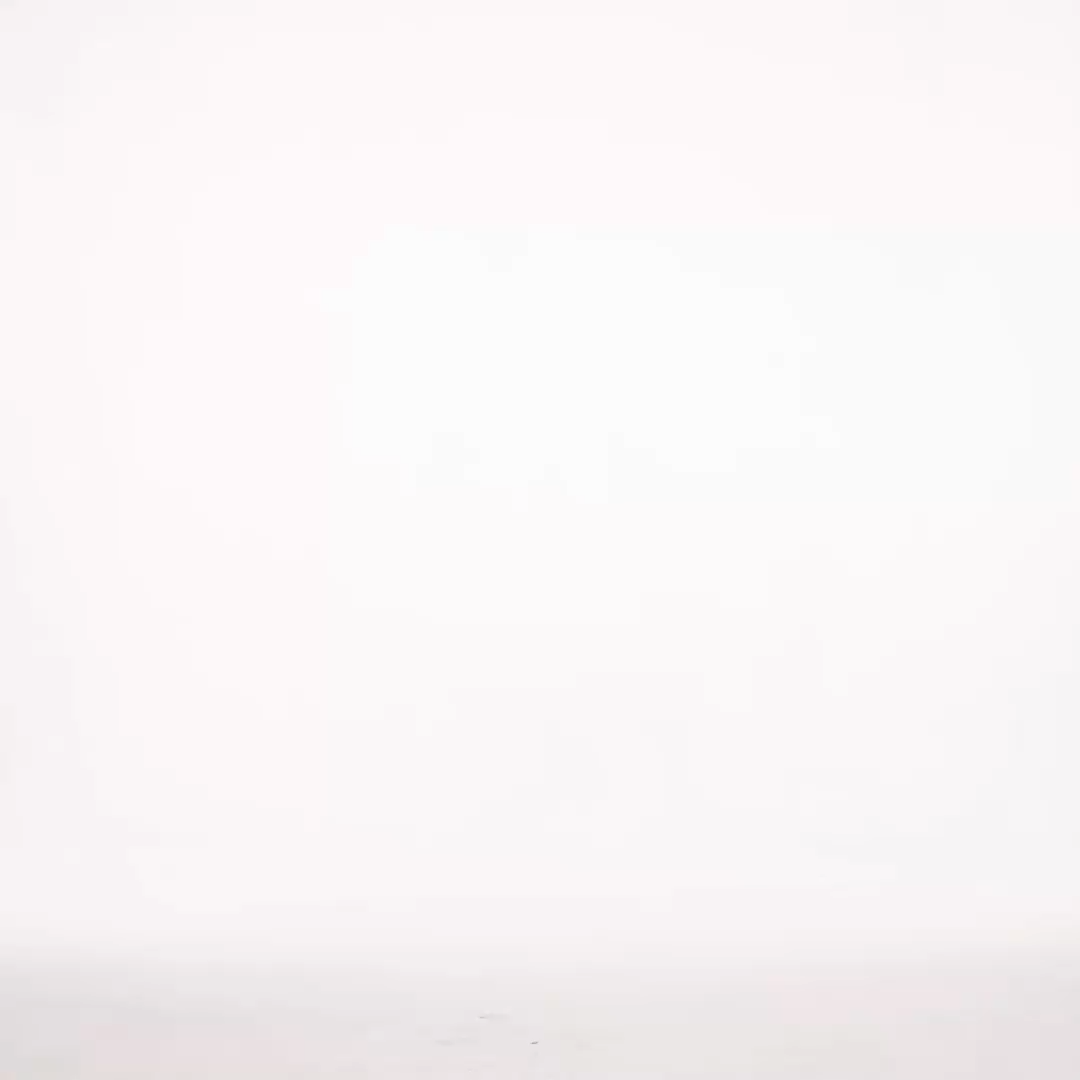 Lara Resort Flowy V-Neck Long Sleeve Floral Lace Woven Mini Dress