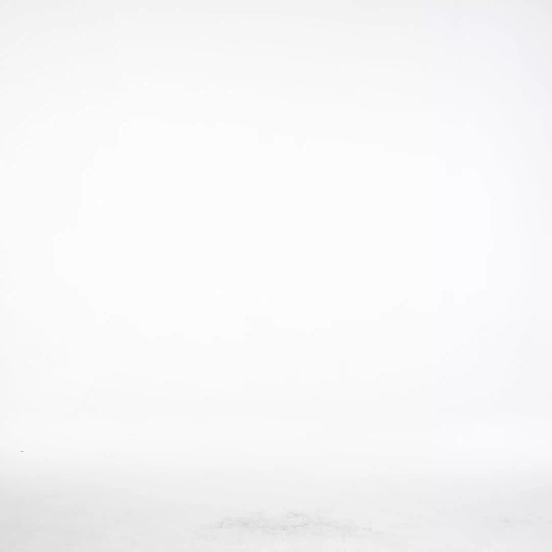 Eila Resort Flowy Long Sleeve Print Chiffon Maxi Dress