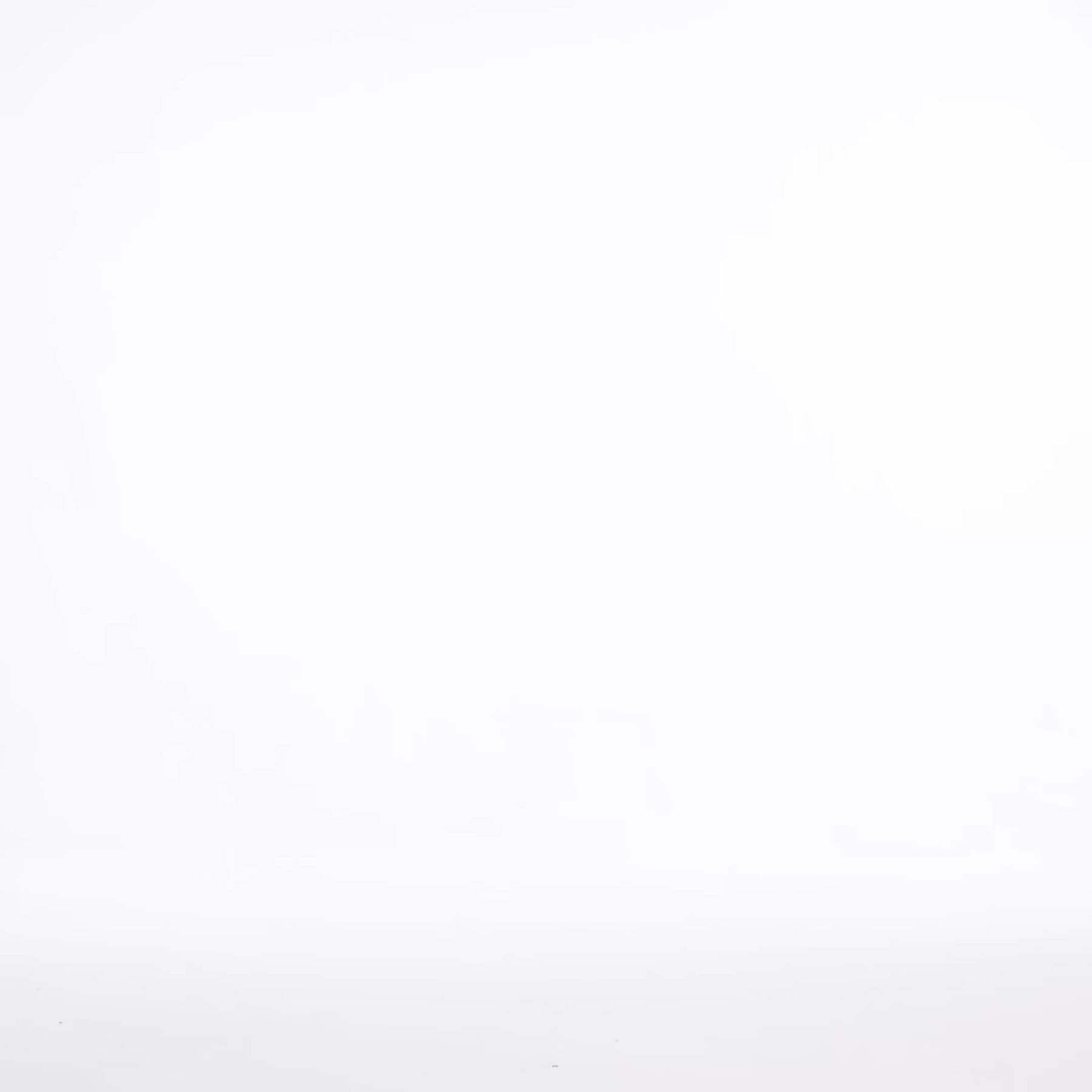 Yuma Romantic Tailored Long Sleeve Lace Blazer