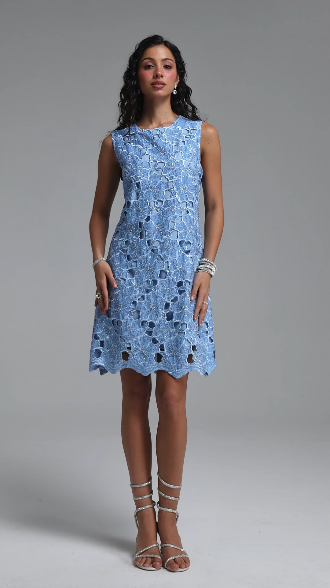 Diana Elegant Tailored Beaded Embroidered Lace A-Line Mini Dress
