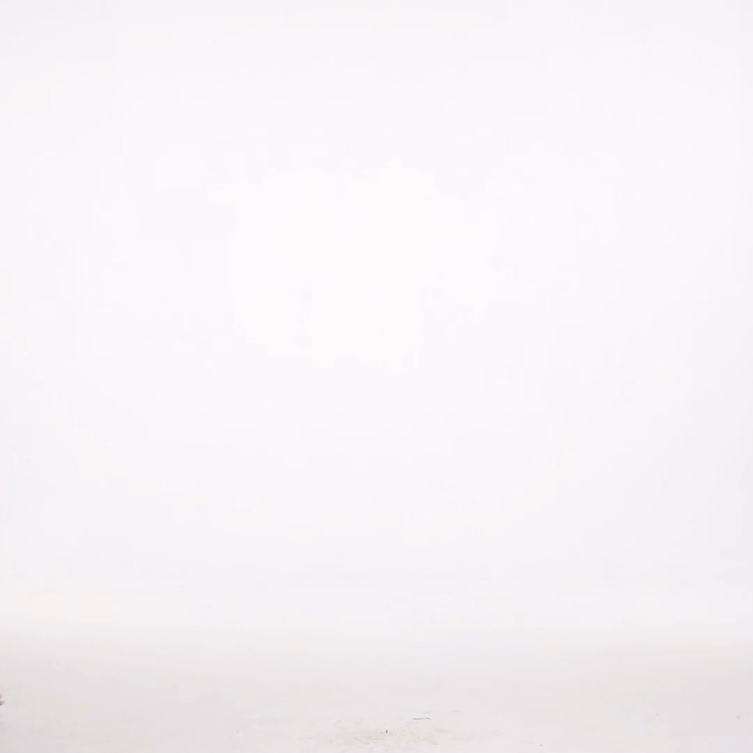 Gearoid Resort Tailored Ruched Puff Sleeve Floral Print Woven Mini Dress