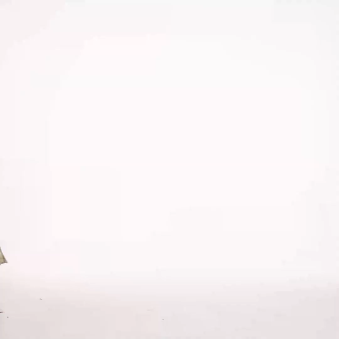 Rosi Resort Flowy Long Sleeve Floral Print Lace Woven Maxi Dress