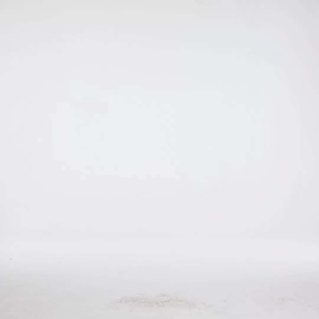 Giant Resort Flowy Puff Sleeve Floral Print Lace Maxi Dress