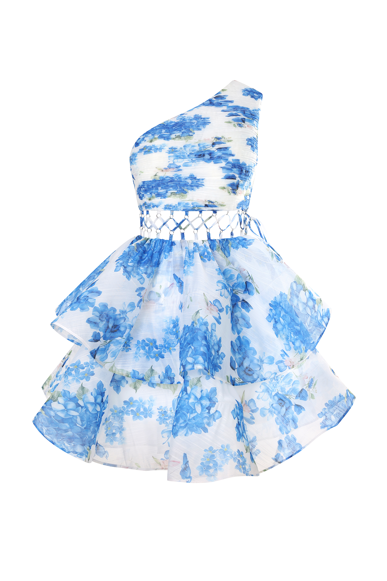 Rilia Sleeveless Hollow Out Floral Printed Puff Mini Dress