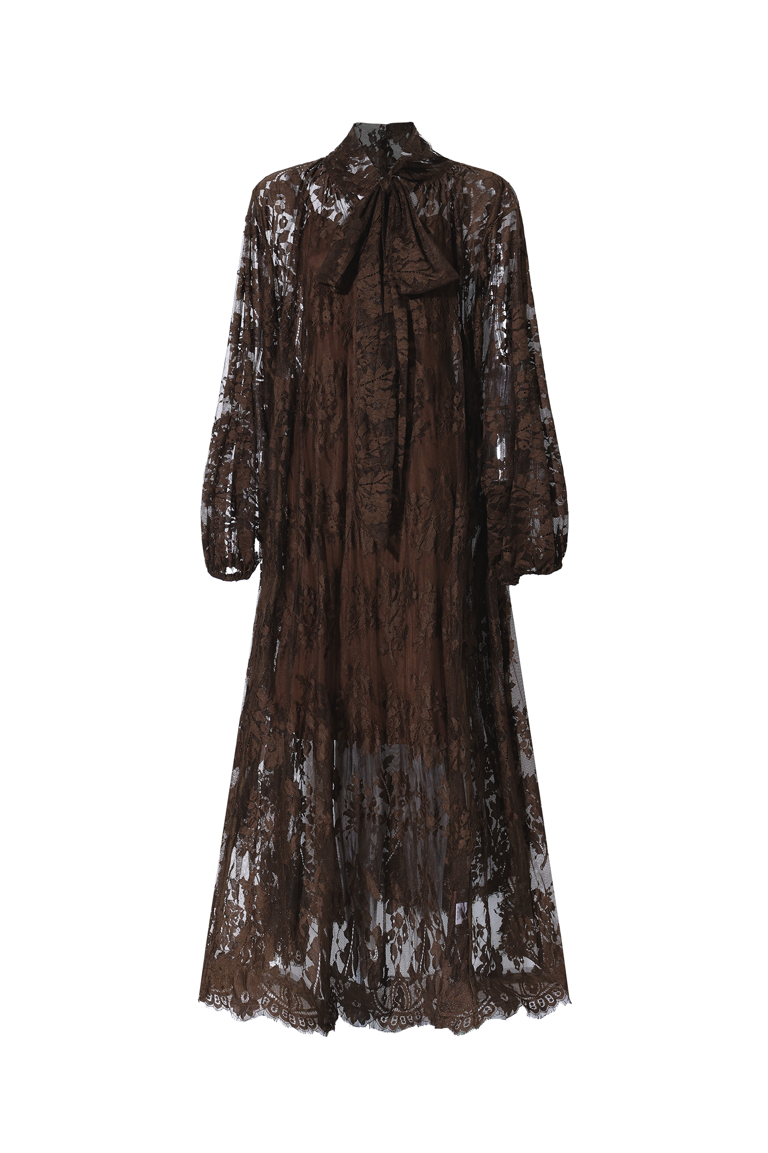 Deliyn Resort Flowy Long Sleeve Embroidered Mesh Lace Maxi Dress