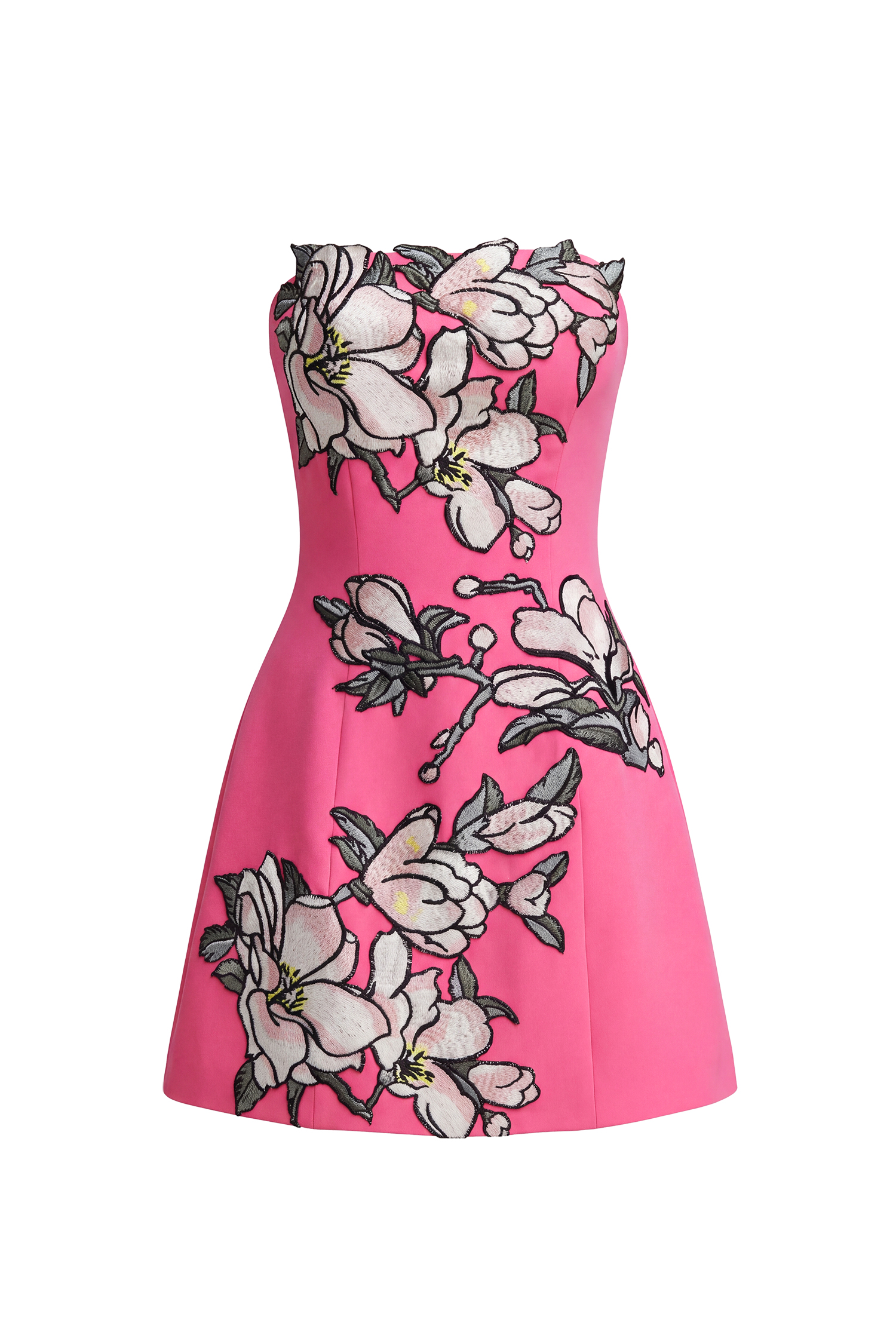 Zaria  Appliqué Floral Bustier Mini Dress