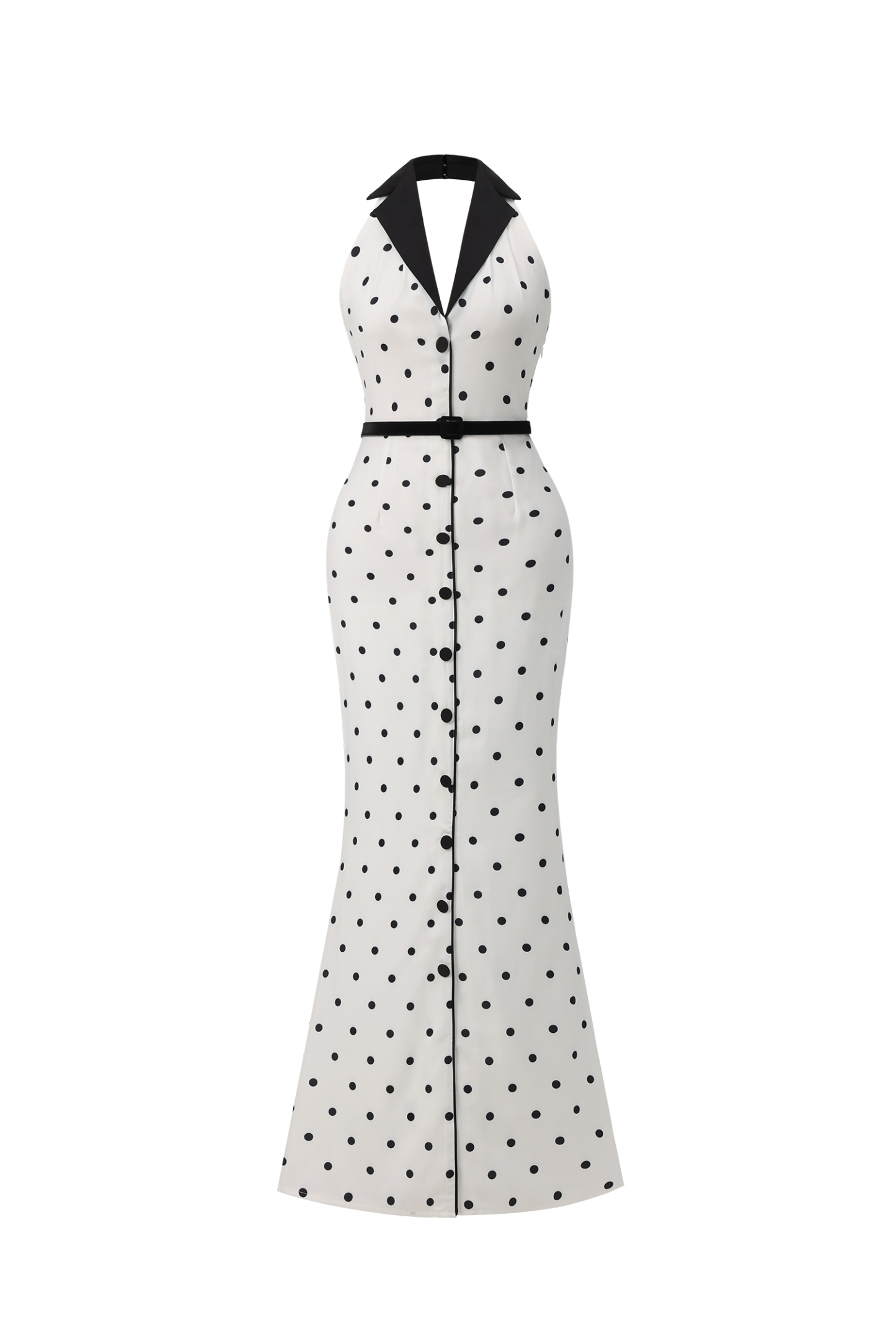 Daryl Sleevess Polka Dot V-Neck Maxi Dress