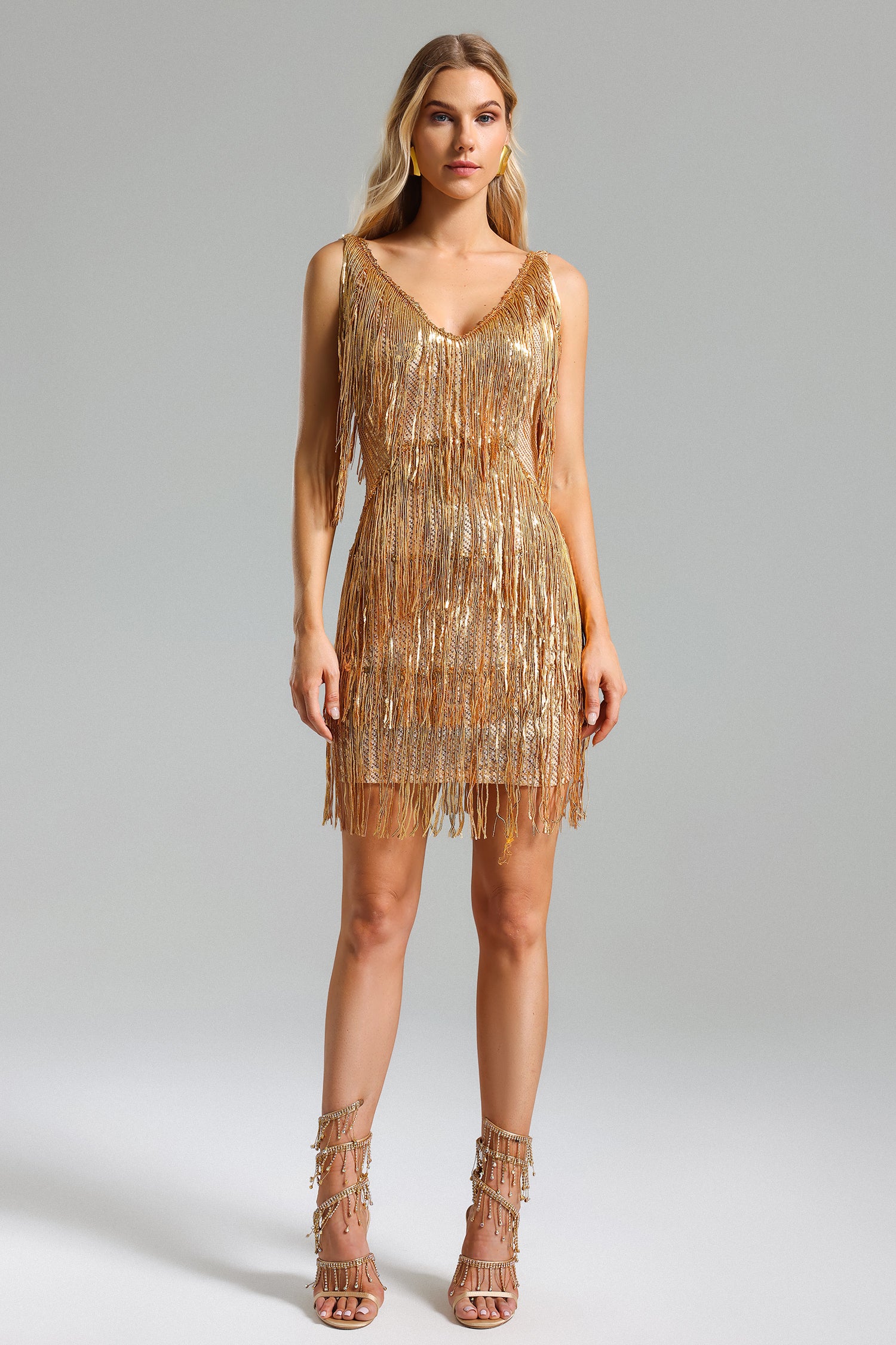 Emory Sequins Fringe Mini Dress
