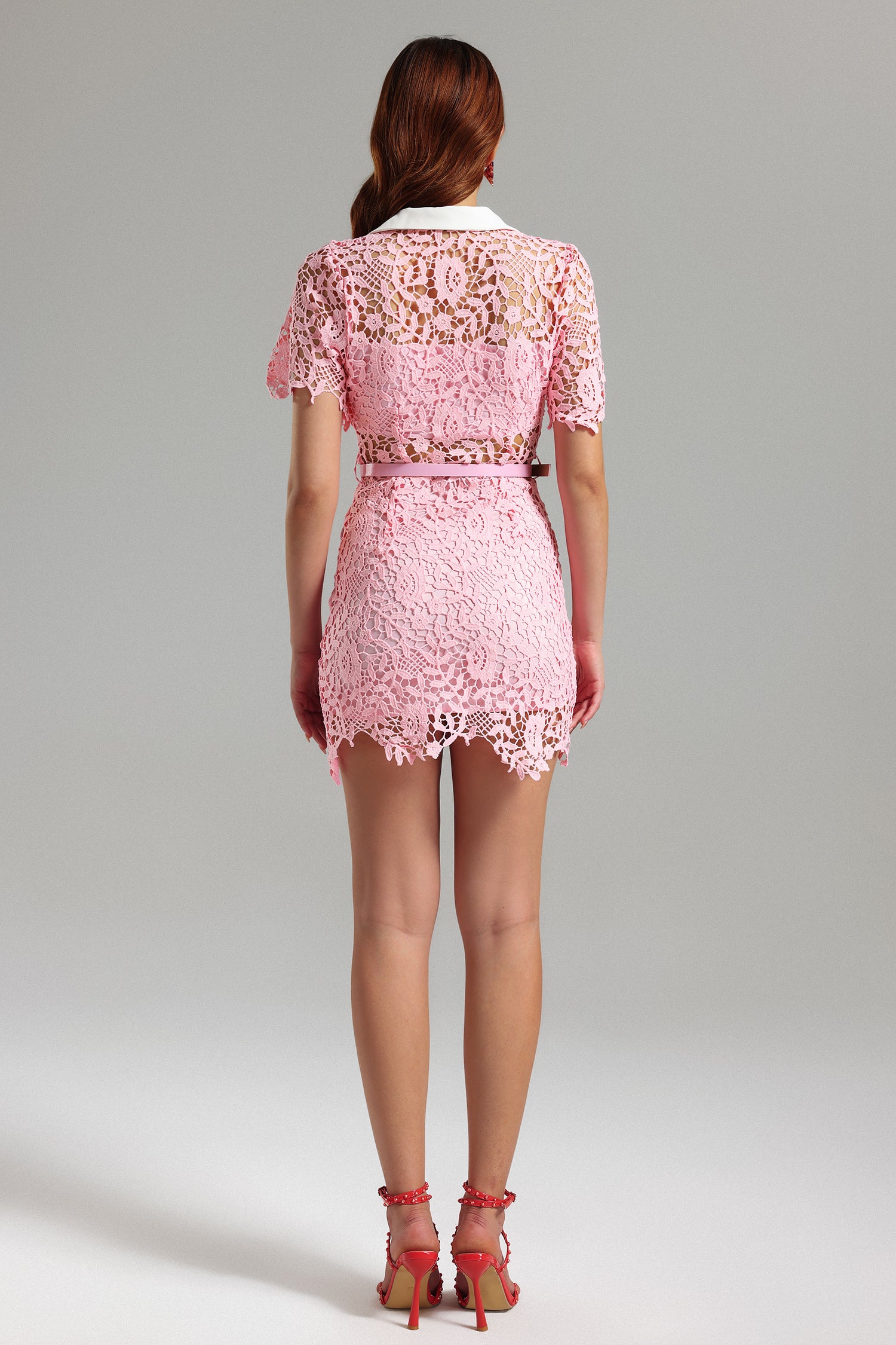 Noma Lace Mini Dress