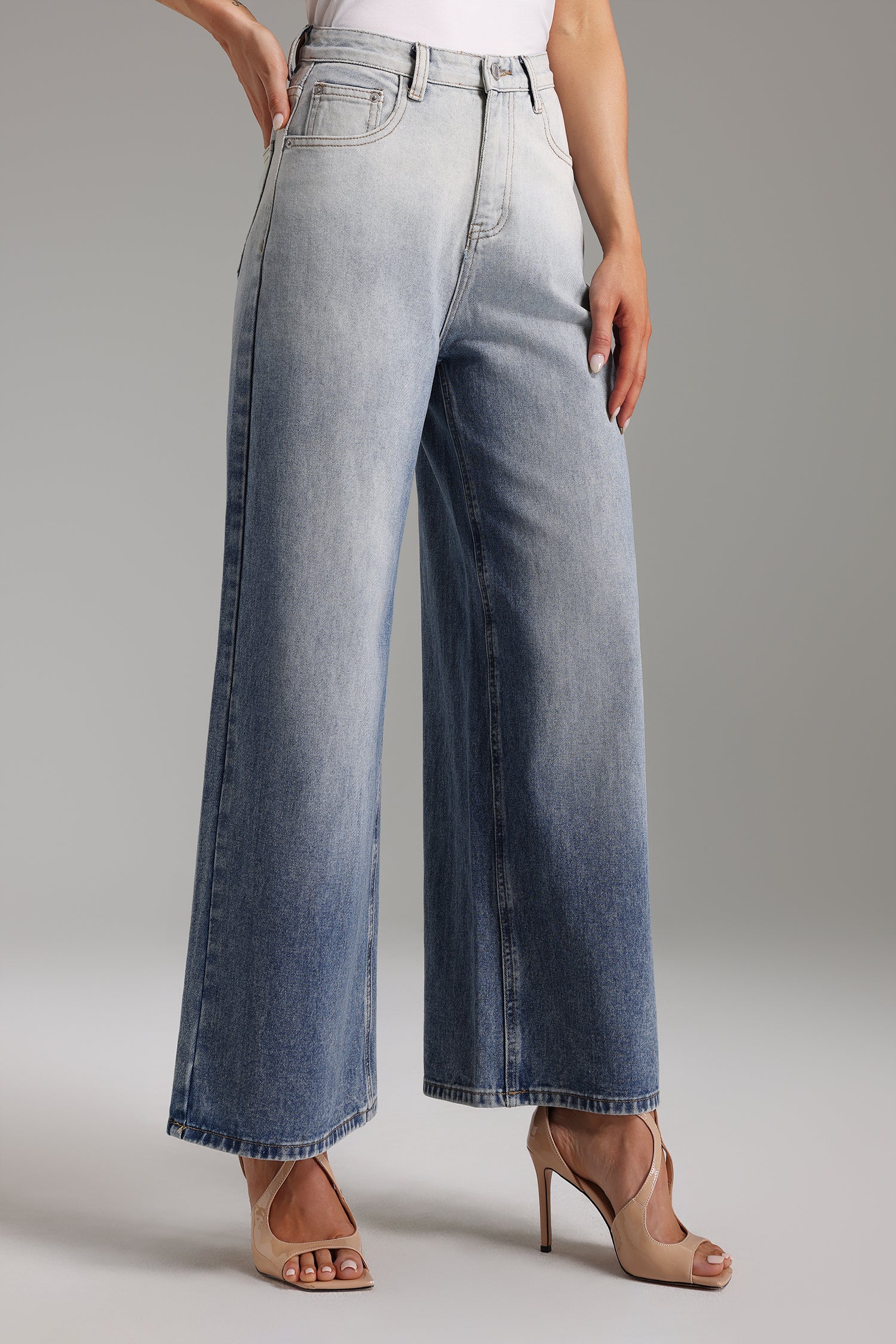 Pallas Gradient Wide-Leg Jeans