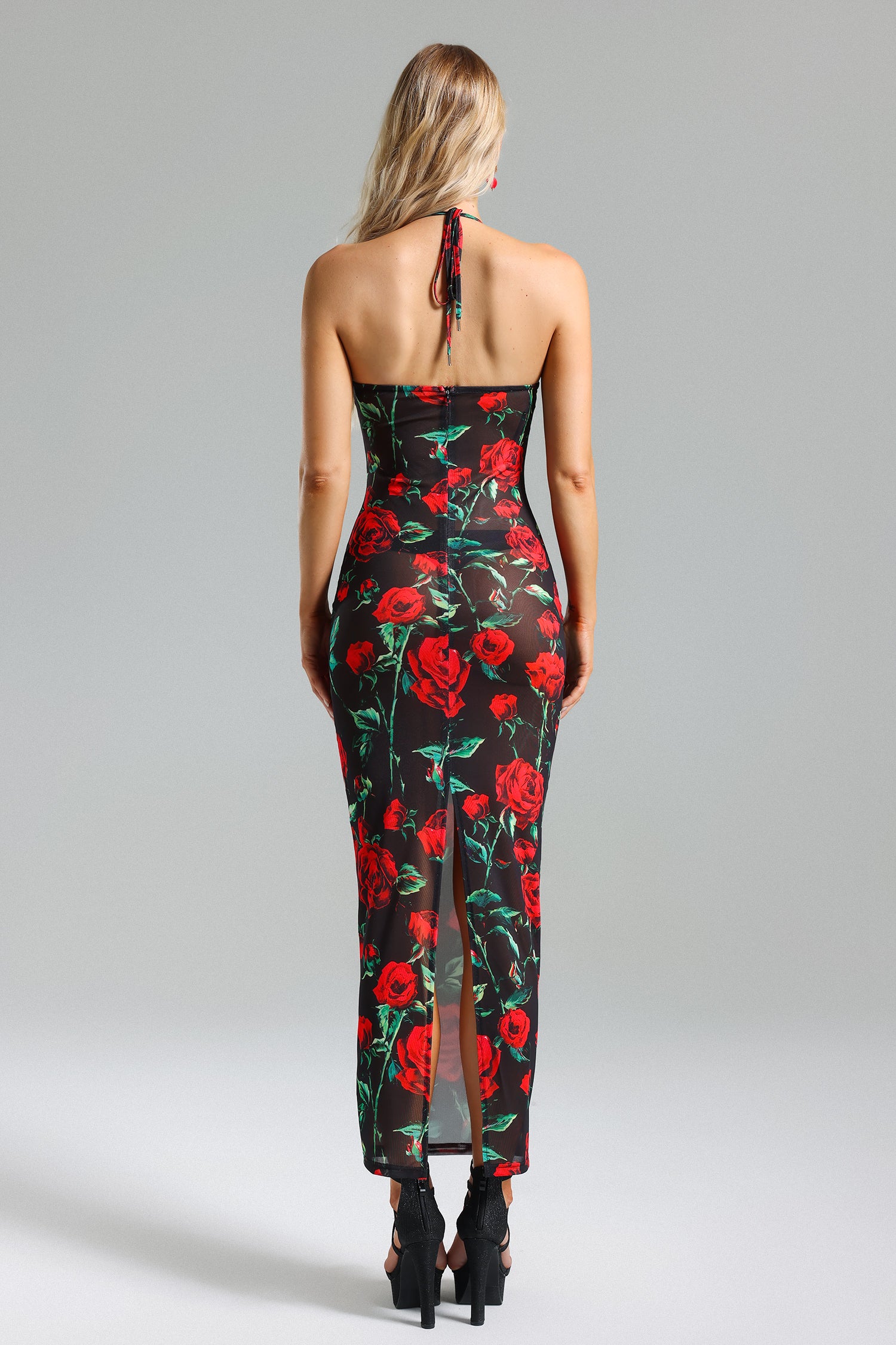 Tafari Rose Print Mesh Slit Dress