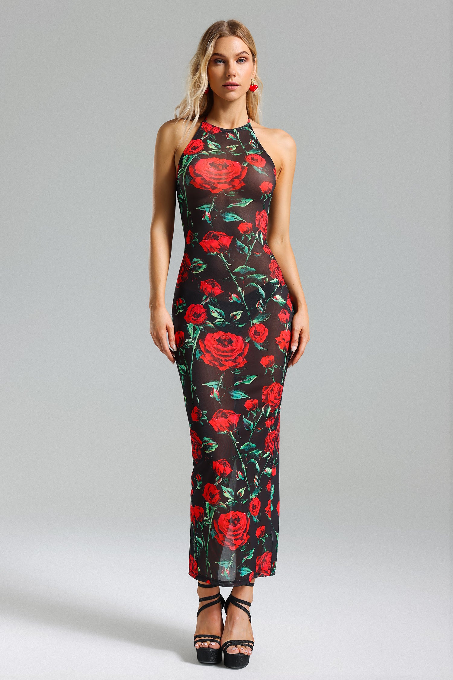 Tafari Rose Print Mesh Slit Dress