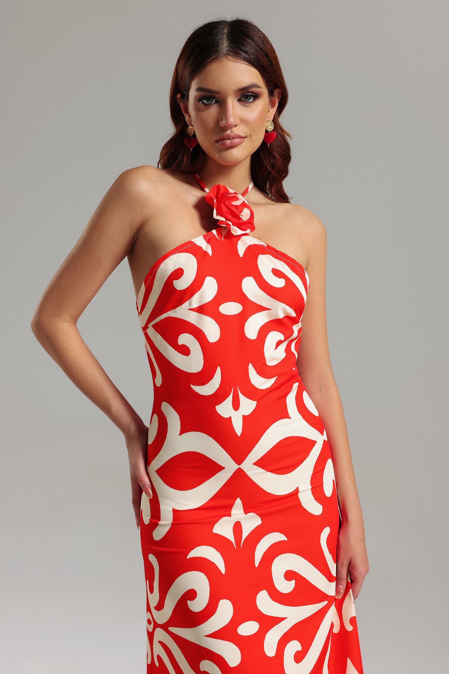 Viney Halterneck Printed Maxi Dress