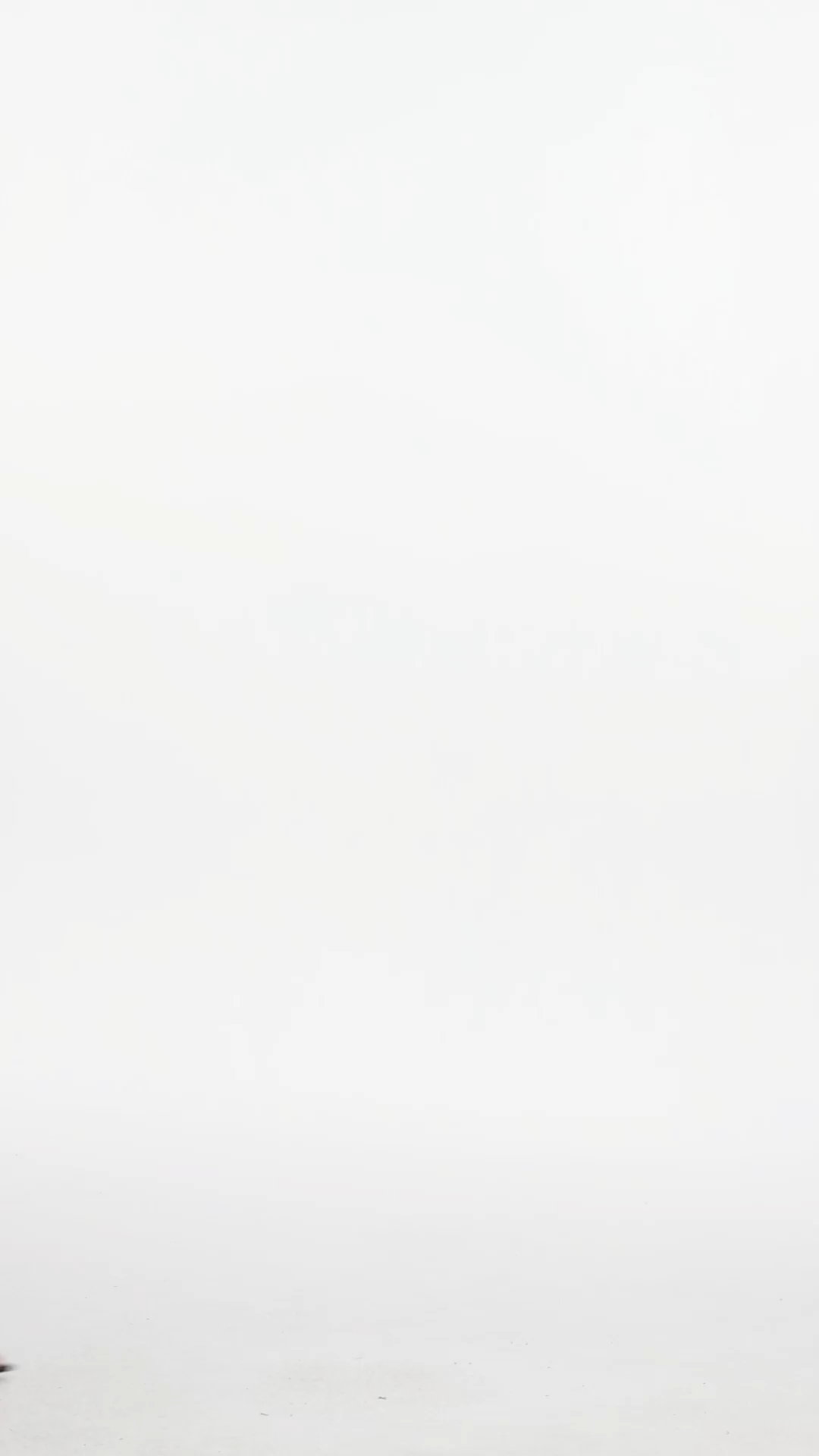 Elin Chic Tailored Long Sleeve Woven Blazer And Pants Two-Piece Set