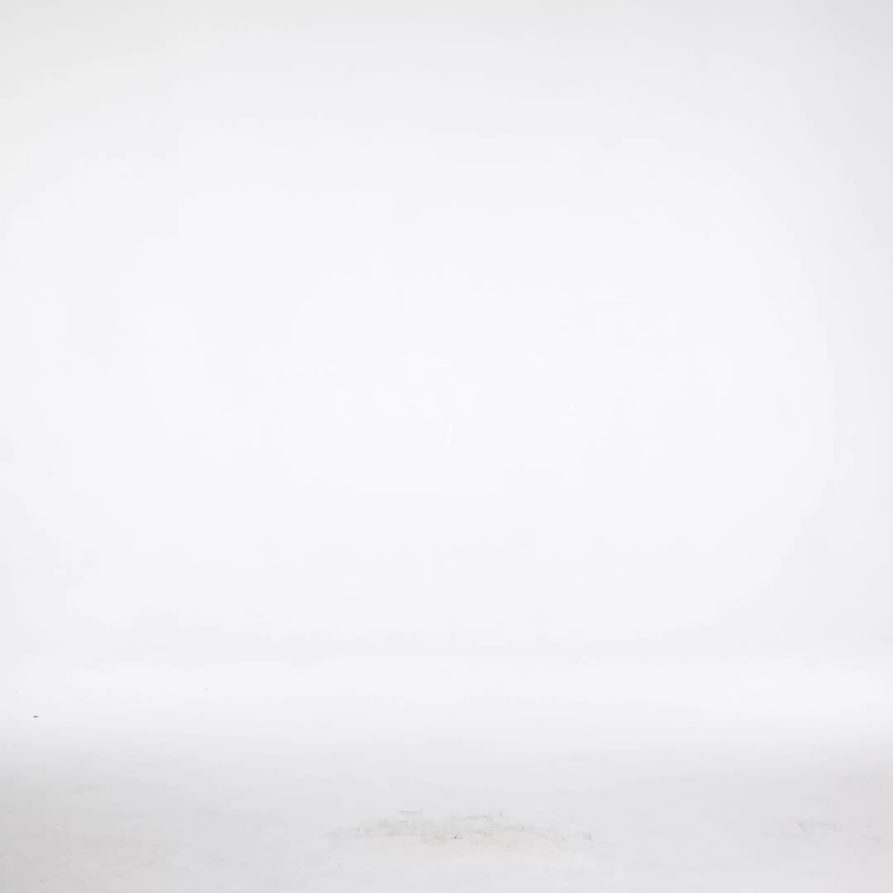 Ravaza Elegant Contour Short Sleeve Lace Mini Dress