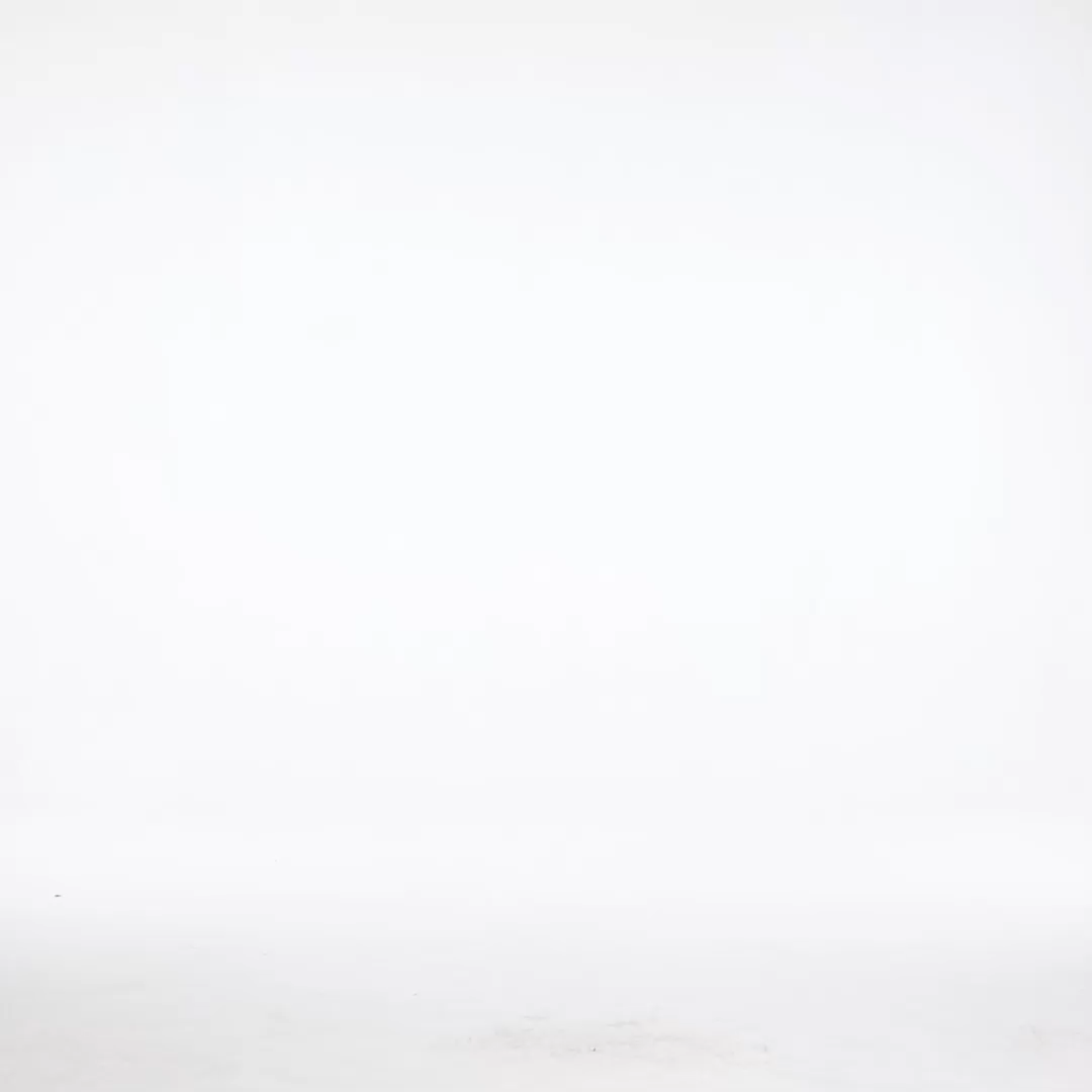 Pako Elegant Tailored Sleeveless Floral Woven Midi Dress