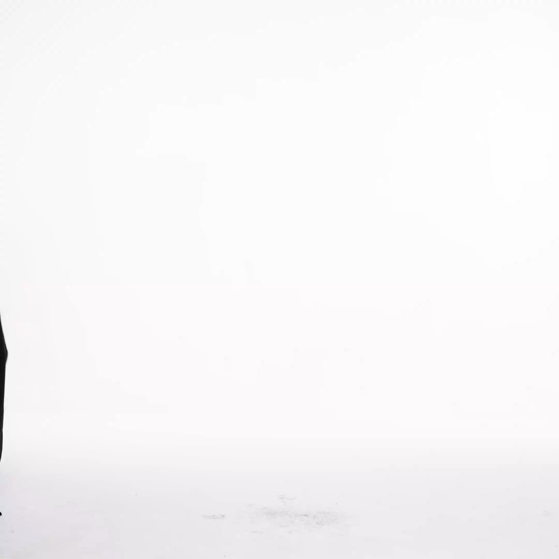 Eliza Elegant Flowy Sleeveless Asymmetric Floral Maxi Dress