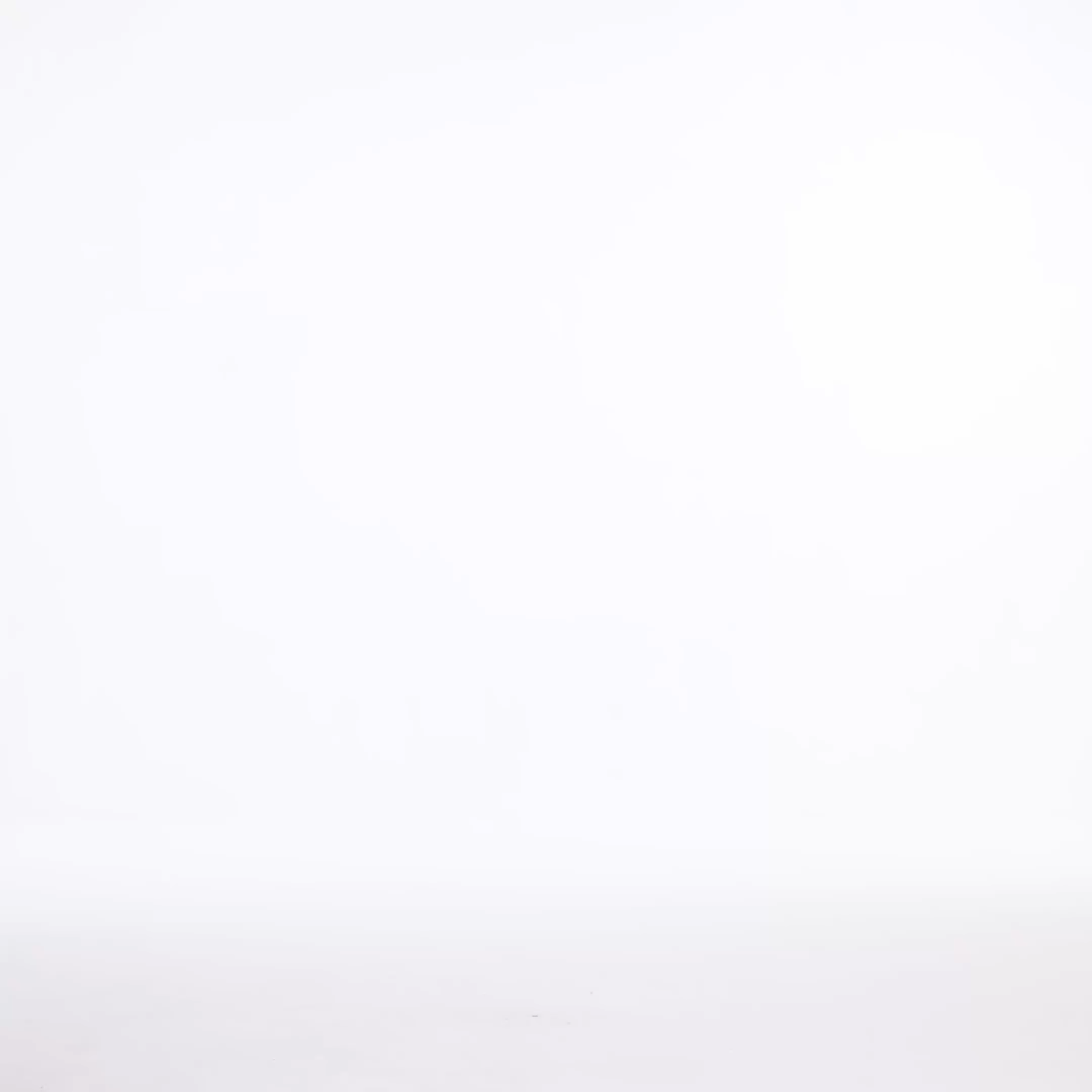 Ninon Corset Strapless Fish Bones Netting Maxi Dress