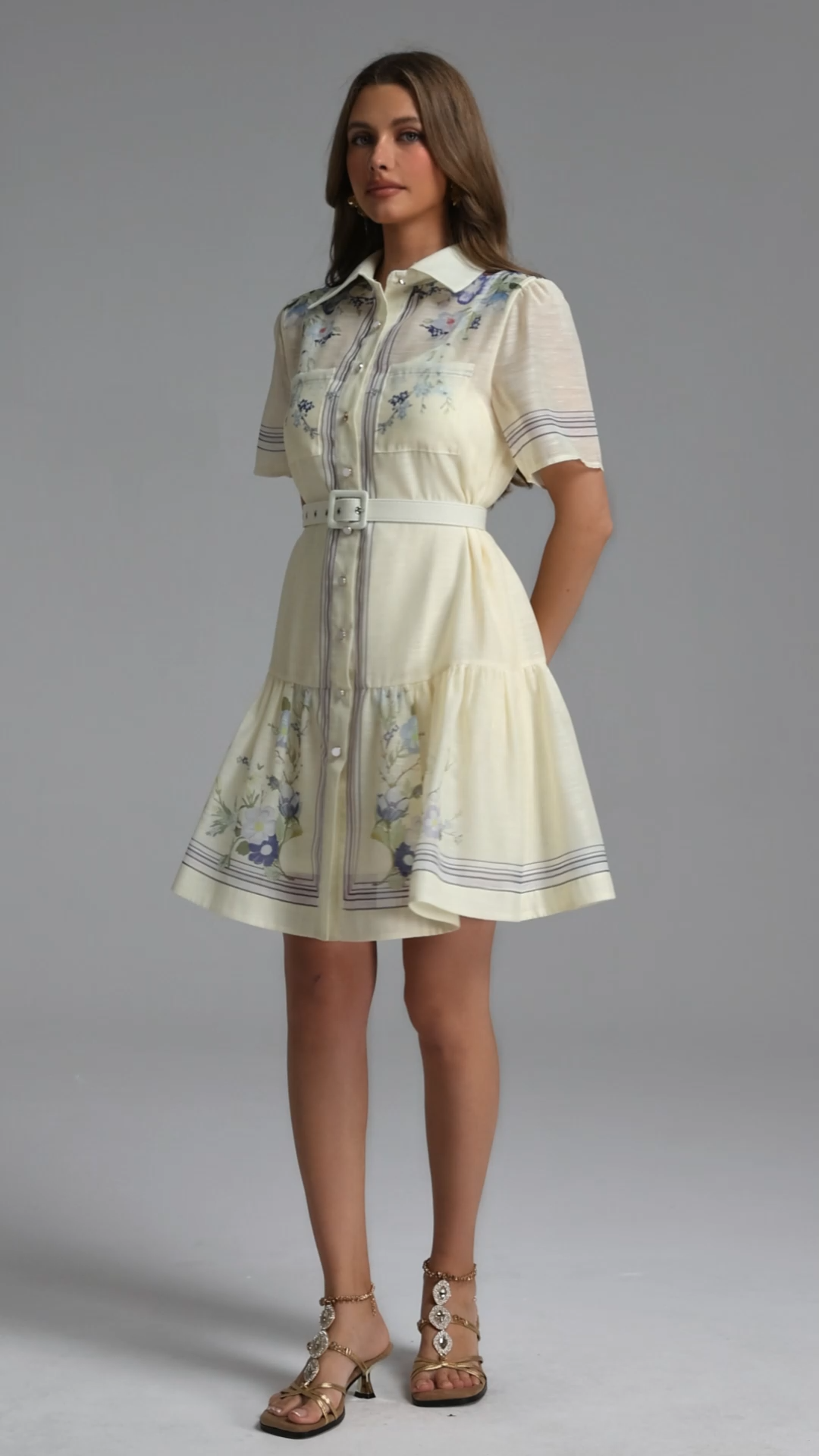 Makani Resort Cinched Short Sleeve Print Organza Mini Dress