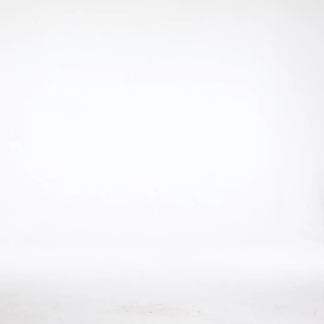 Rayen Resort Flowy V Neck Long Sleeve Floral Print Chiffon Mini Dress