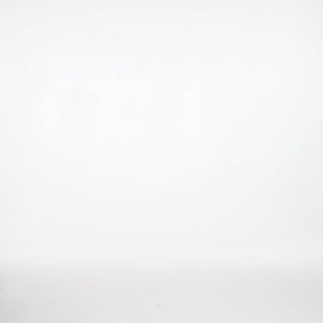 Haven Resort Flowy Puff Sleeve Organza Maxi Dress