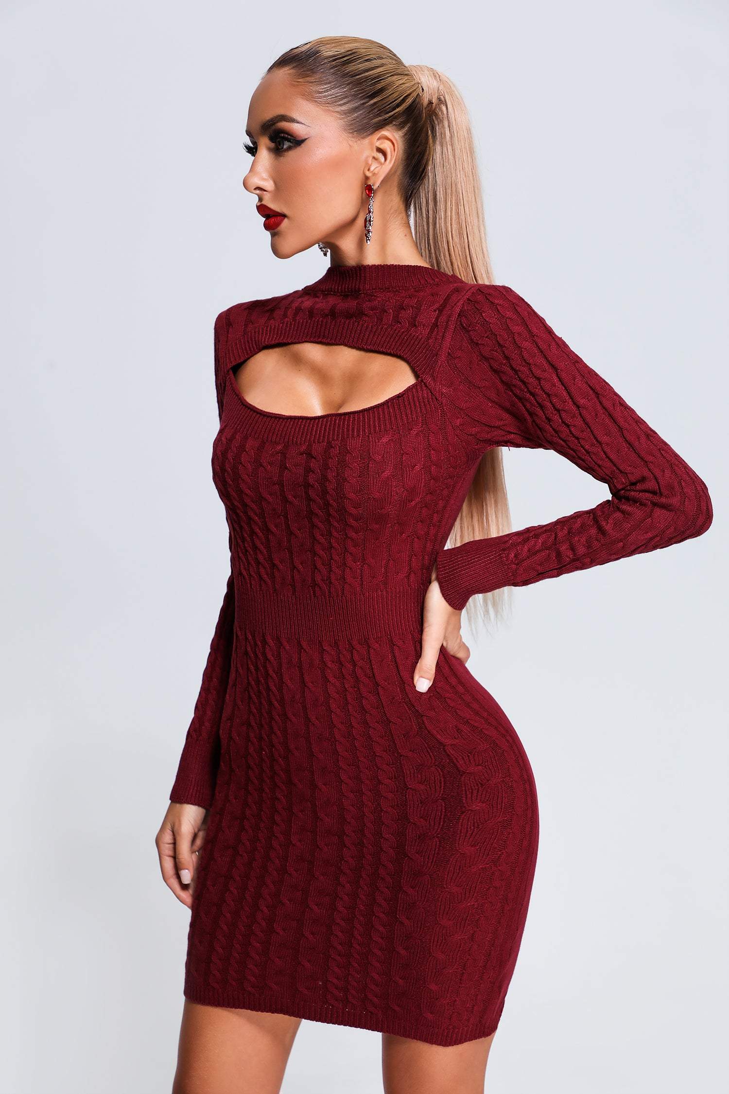 Olga Mini Knit Dress