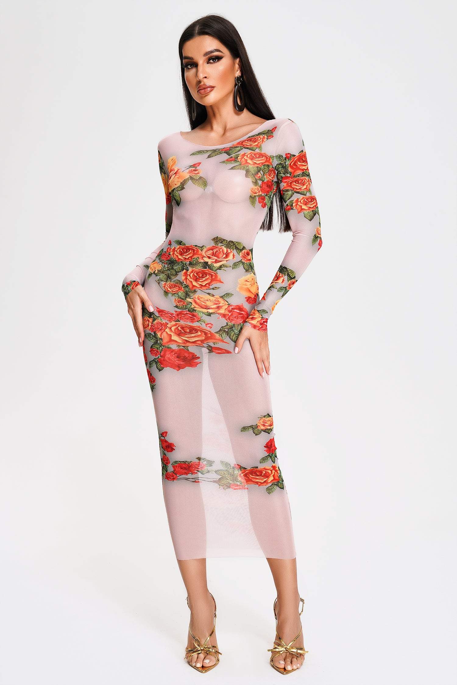 Tanisha Printed Mesh Midi Dress