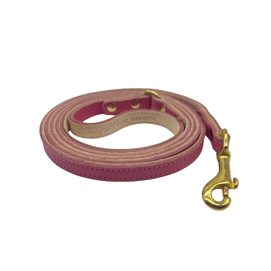 Plain Leather Dog Leash