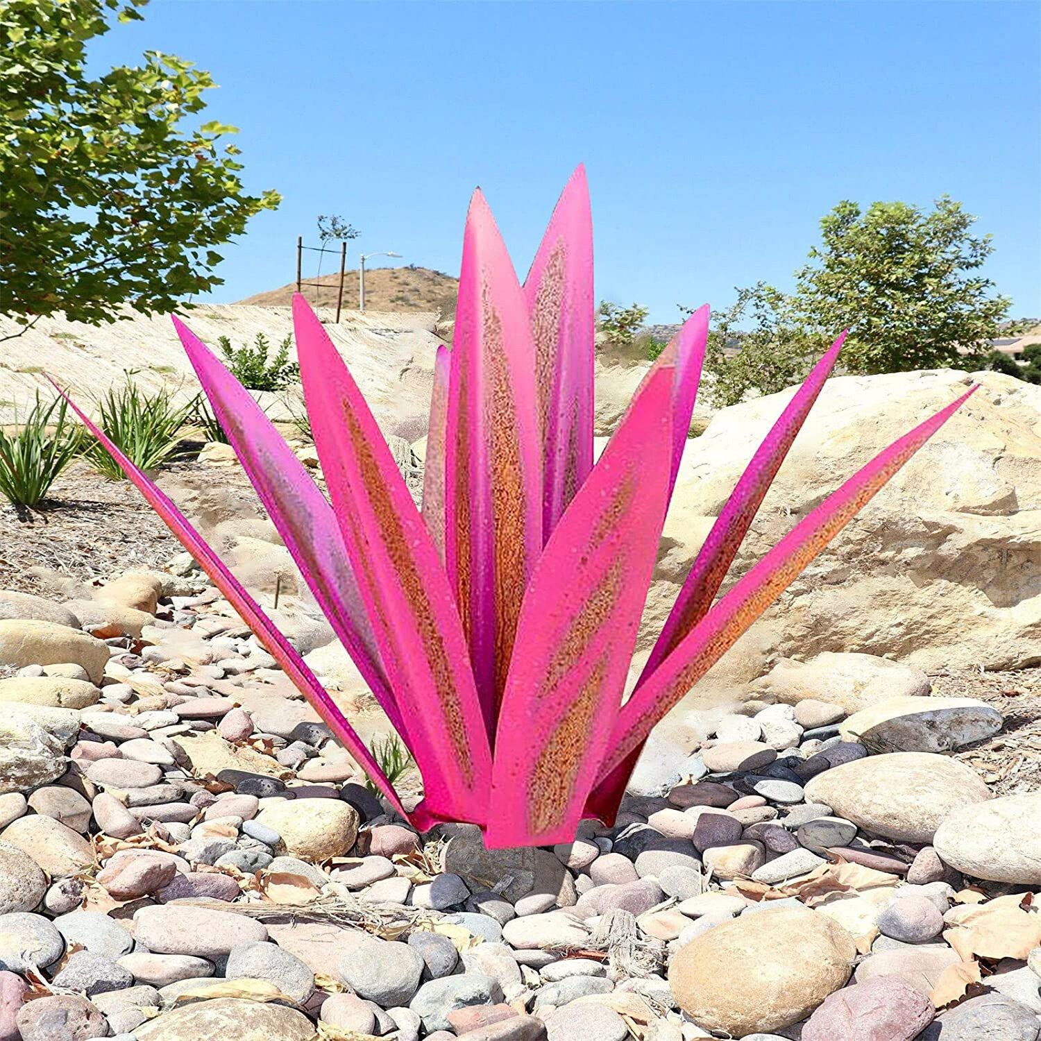 Hot Sales50% Off-Red Tequila Agave-Perfect for garden