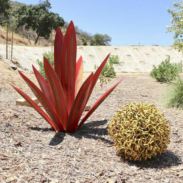 Hot Sales50% Off-Red Tequila Agave-Perfect for garden
