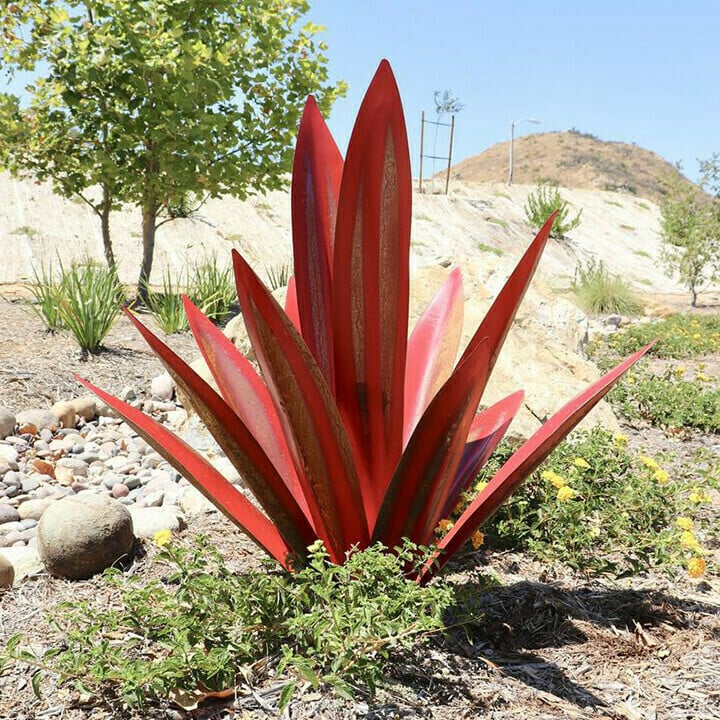 Hot Sales50% Off-Red Tequila Agave-Perfect for garden