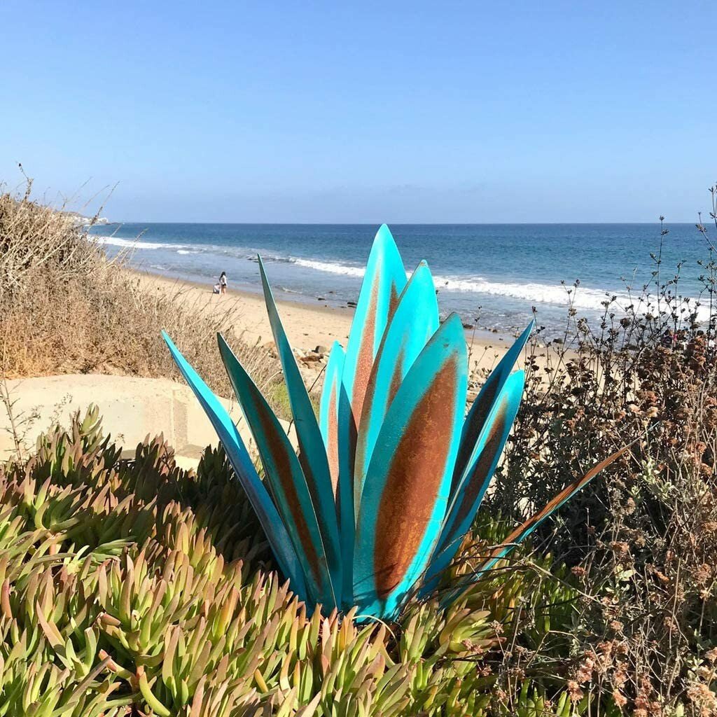 Hot Sales50% Off-Red Tequila Agave-Perfect for garden