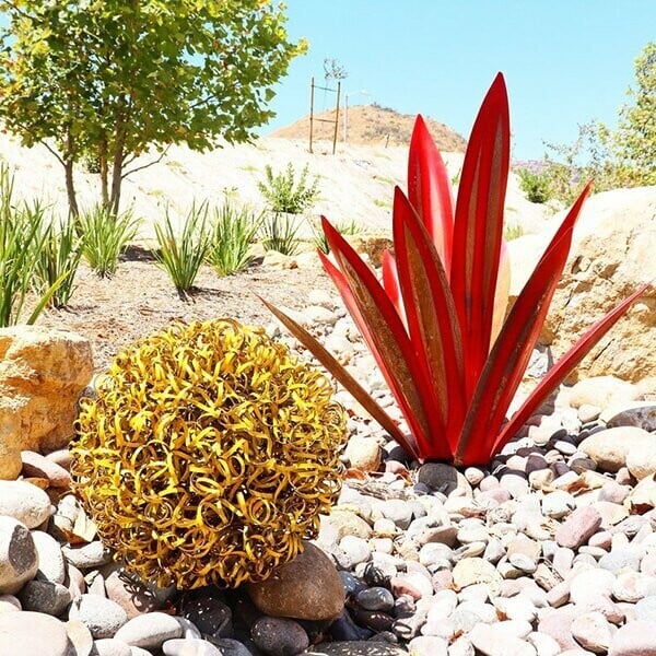 Hot Sales50% Off-Red Tequila Agave-Perfect for garden